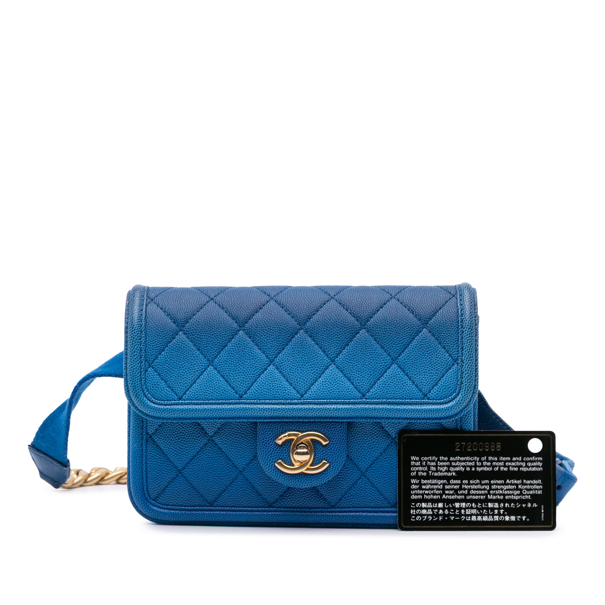 Chanel Quilted Caviar Sunset On The Sea Flap Belt Bag - image 12