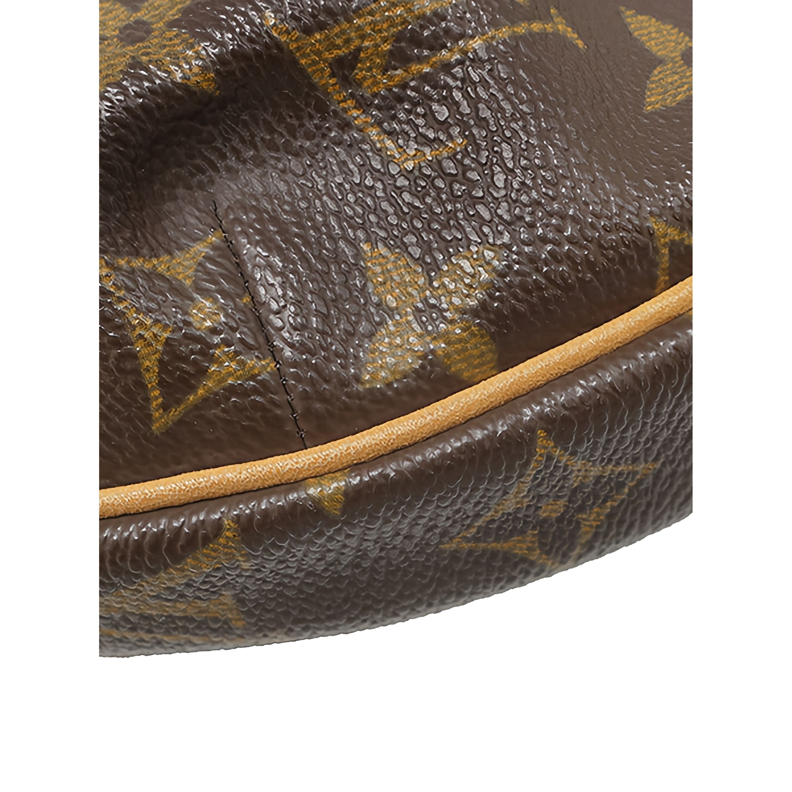 Louis Vuitton Monogram Croissant MM - image 12