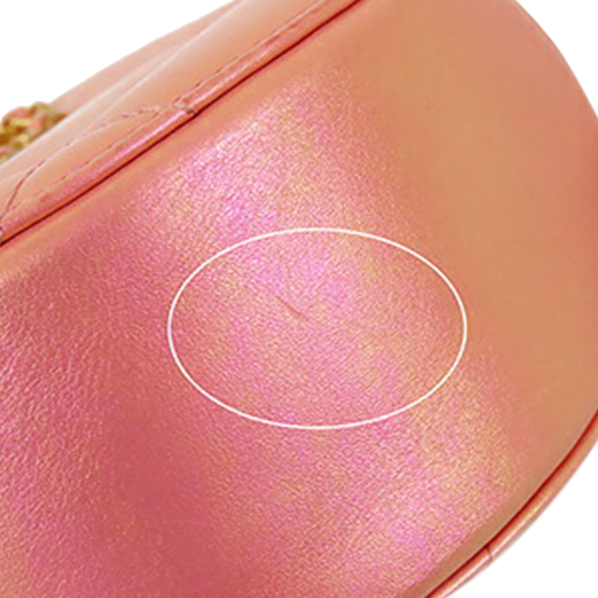 Chanel Iridescent Lambskin 19 Round Clutch with Chain - image 10