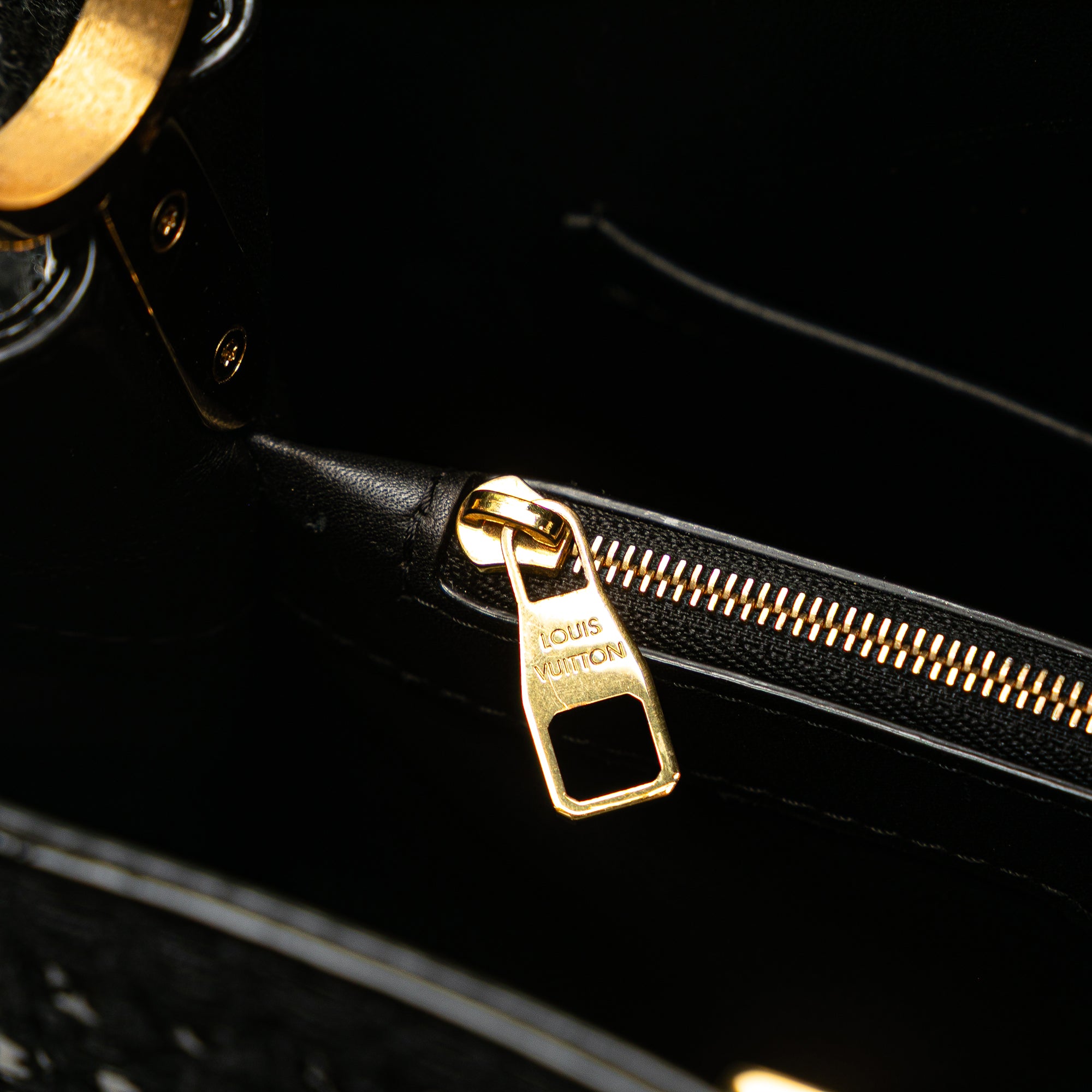 Louis Vuitton Tweed Capucines Old MM - image 9