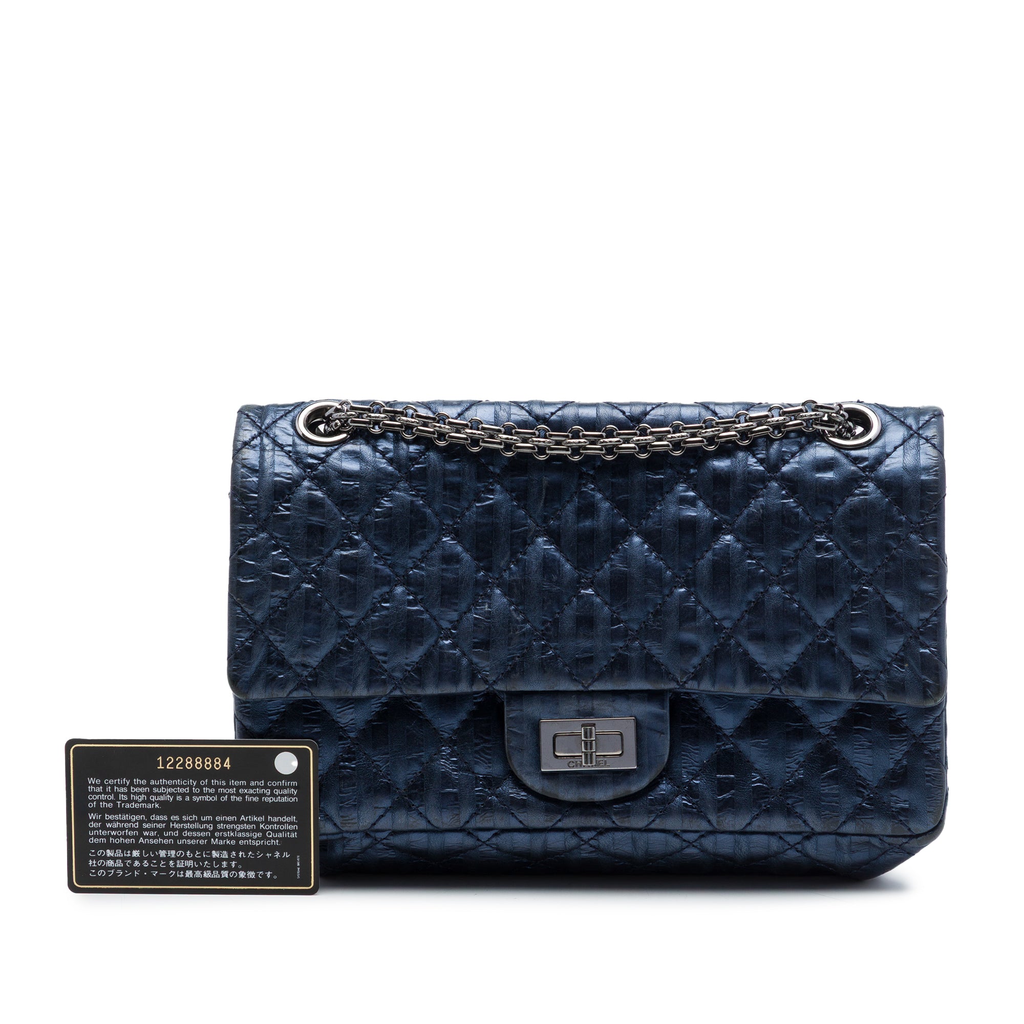 Chanel Quilted Metallic Striped Aged Calfskin Reissue 2.55 Accordion Flap 225 - image 7