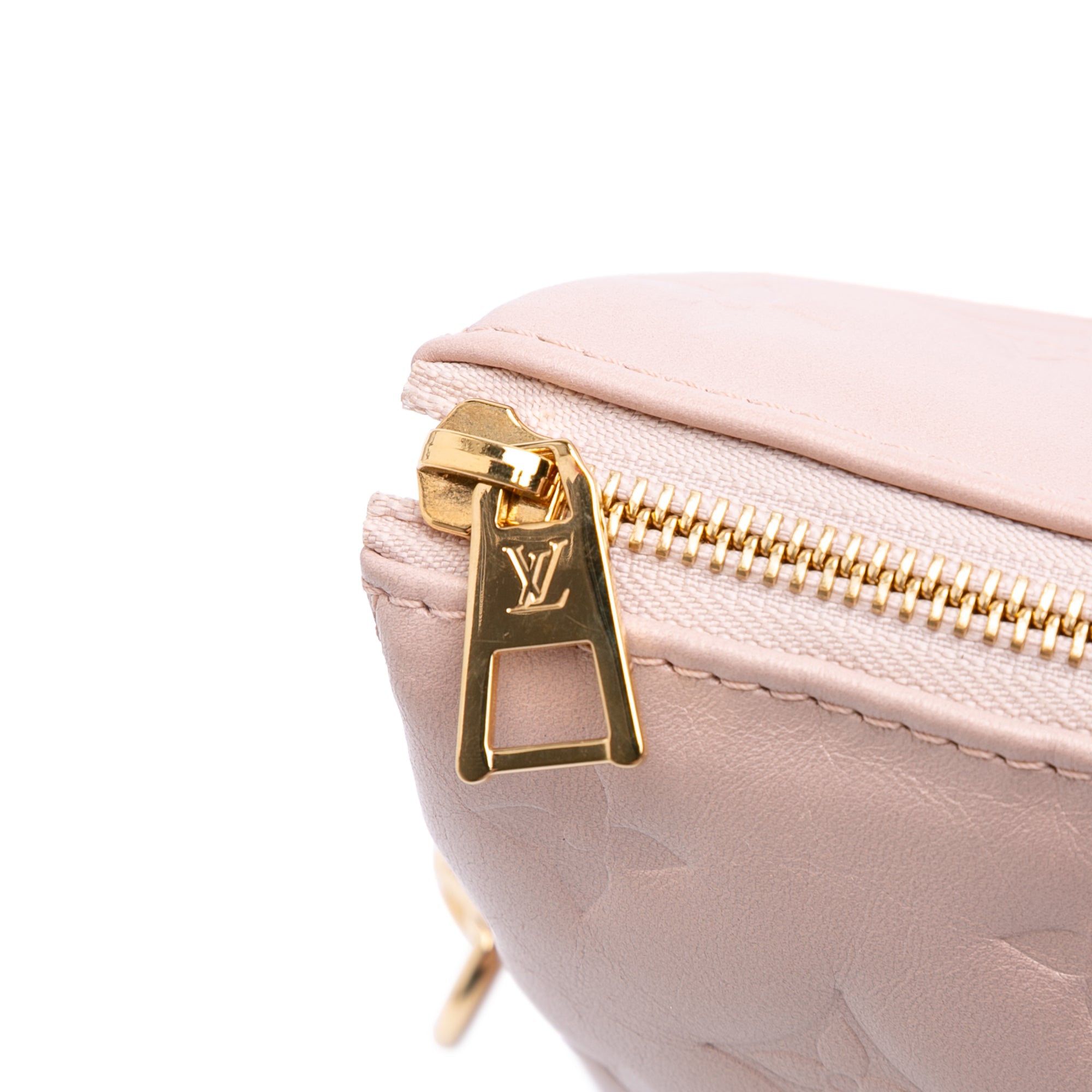 Louis Vuitton Monogram Embossed Puffy Lambskin Fall In Love Coussin PM - image 6