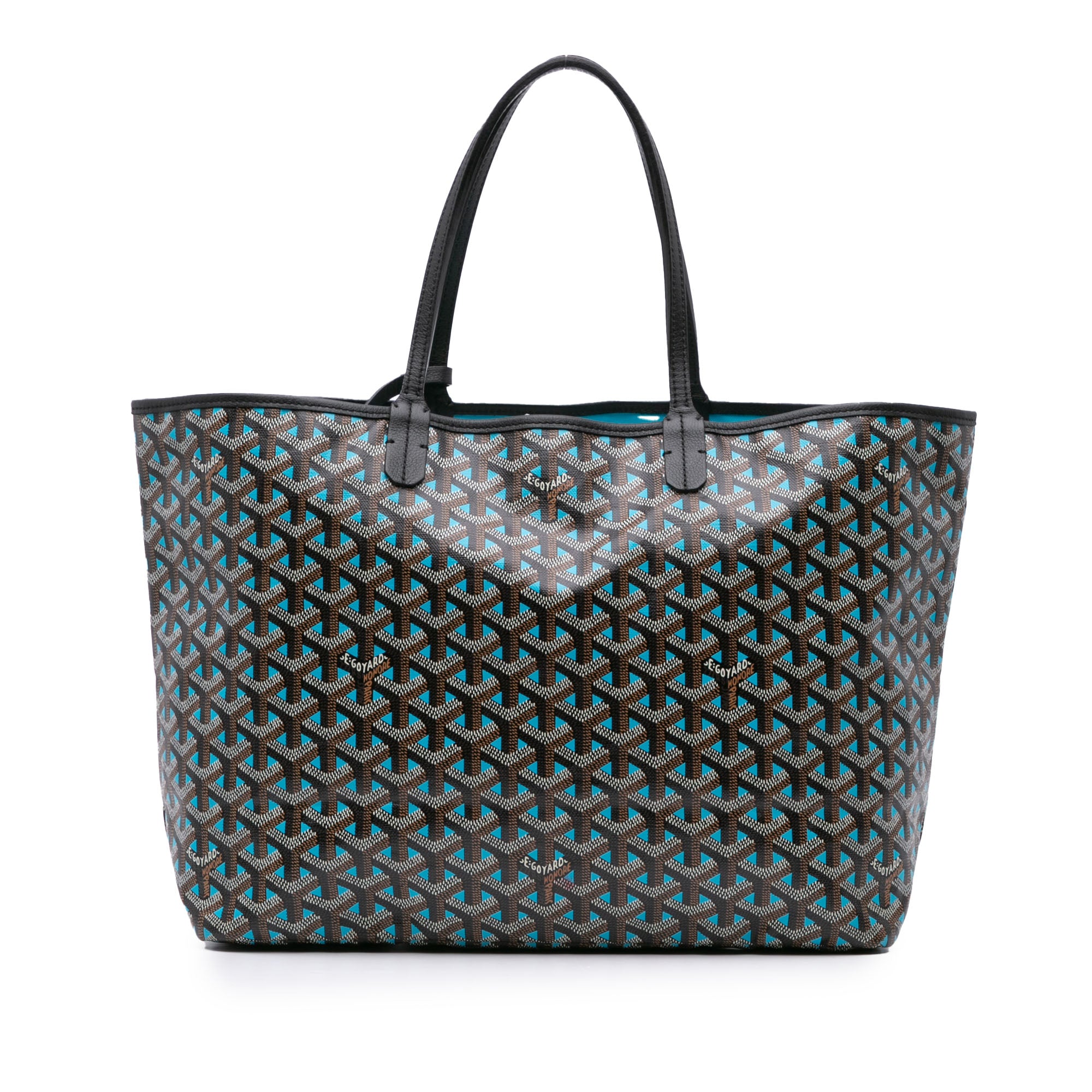 Goyard Goyardine Claire Voie Saint Louis PM - image 1