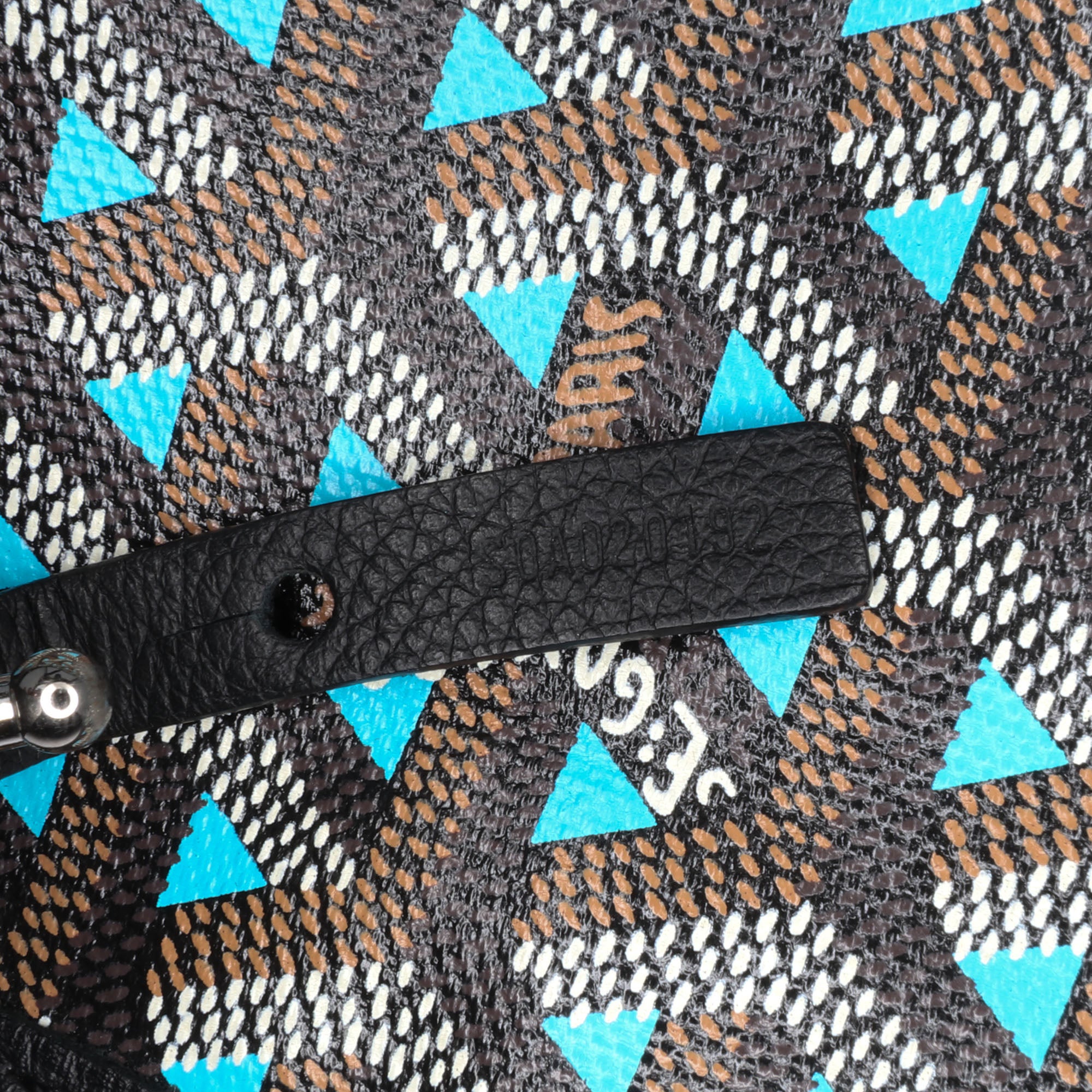 Goyard Goyardine Claire Voie Saint Louis PM - image 7