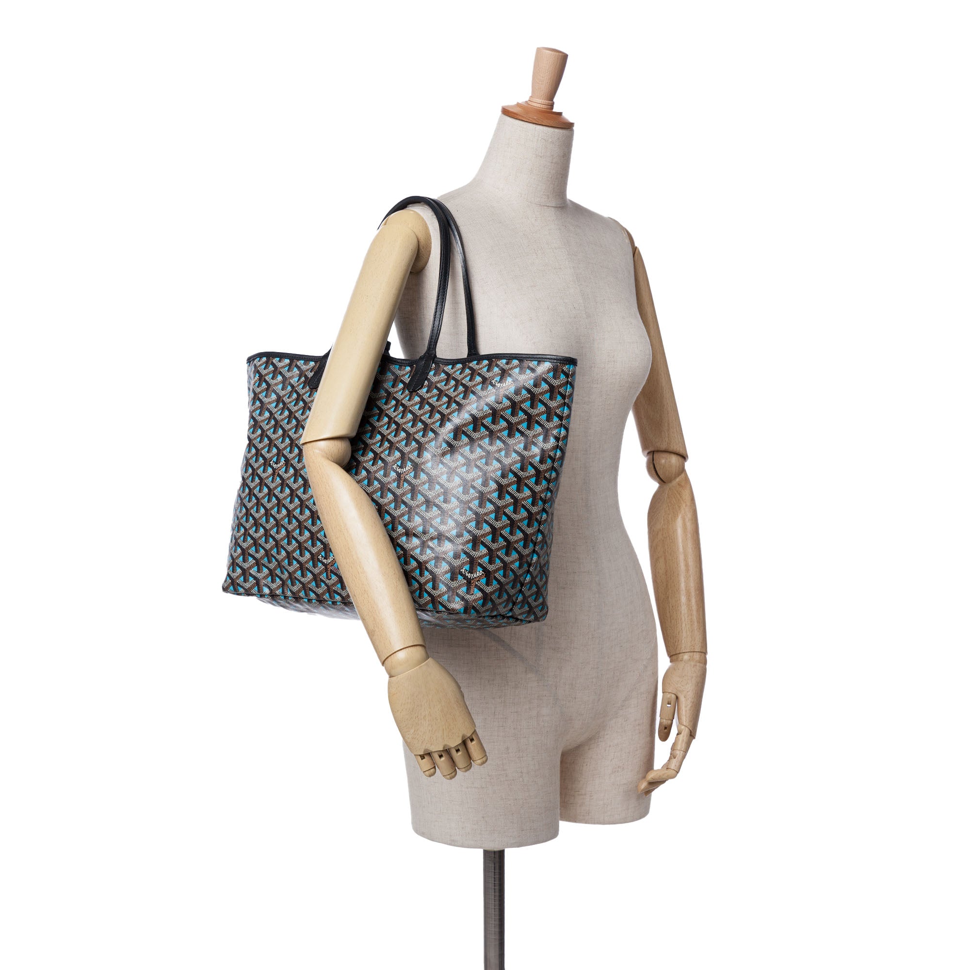 Goyard Goyardine Claire Voie Saint Louis PM - image 8