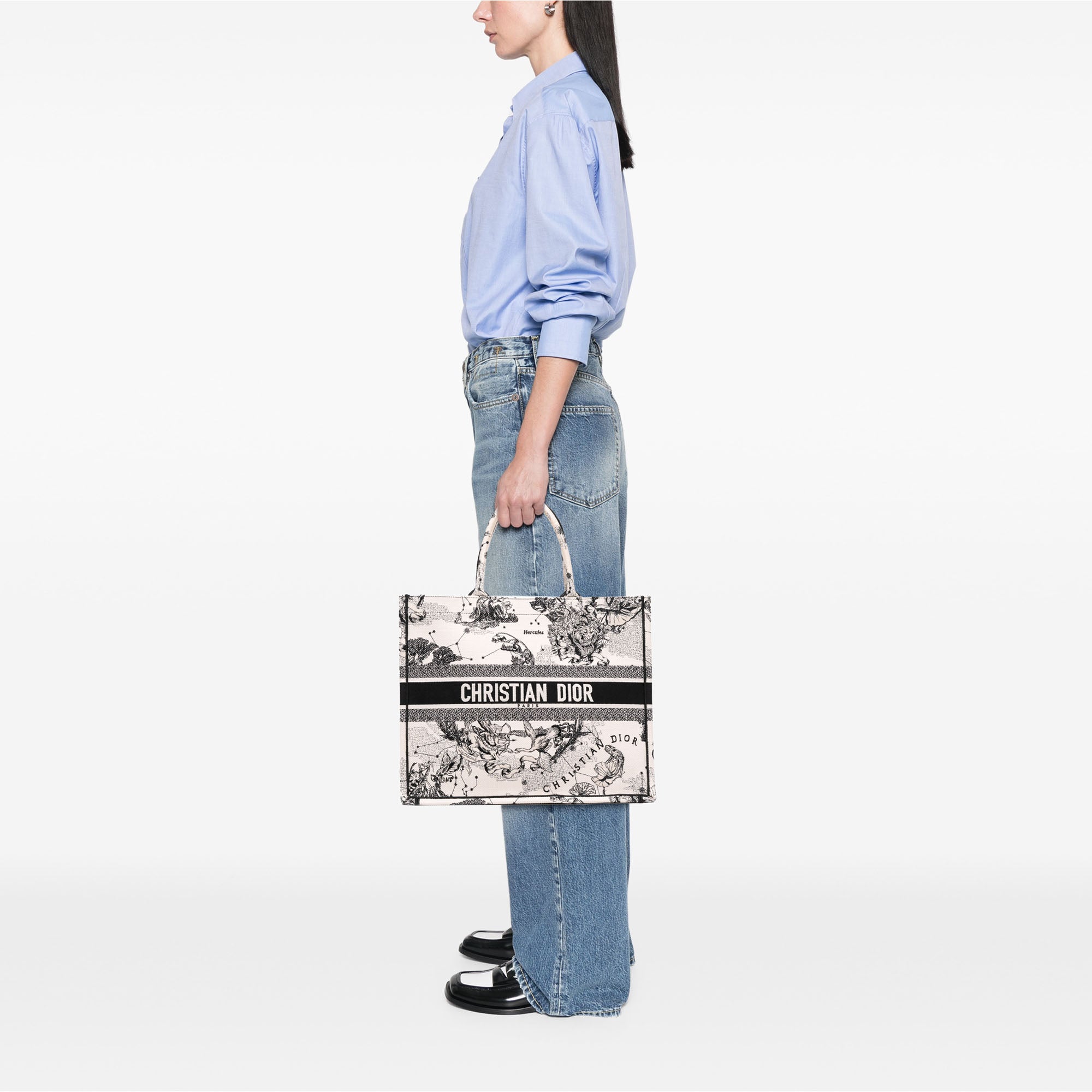 Dior Large Canvas Embroidered Zodiac Toile De Jouy Book Tote - image 10