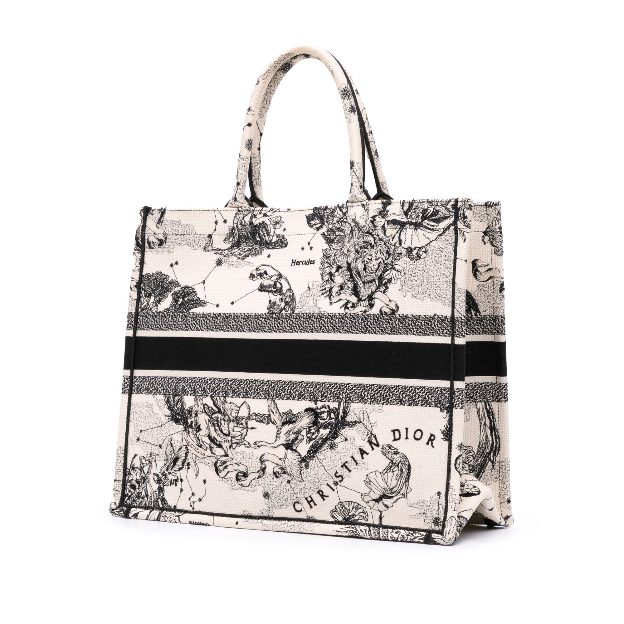Dior Large Canvas Embroidered Zodiac Toile De Jouy Book Tote - image 2