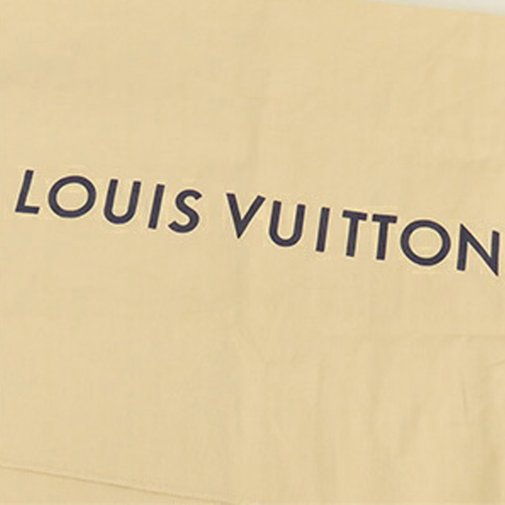 Louis Vuitton Monogram Macassar Christopher Backpack MM - image 16