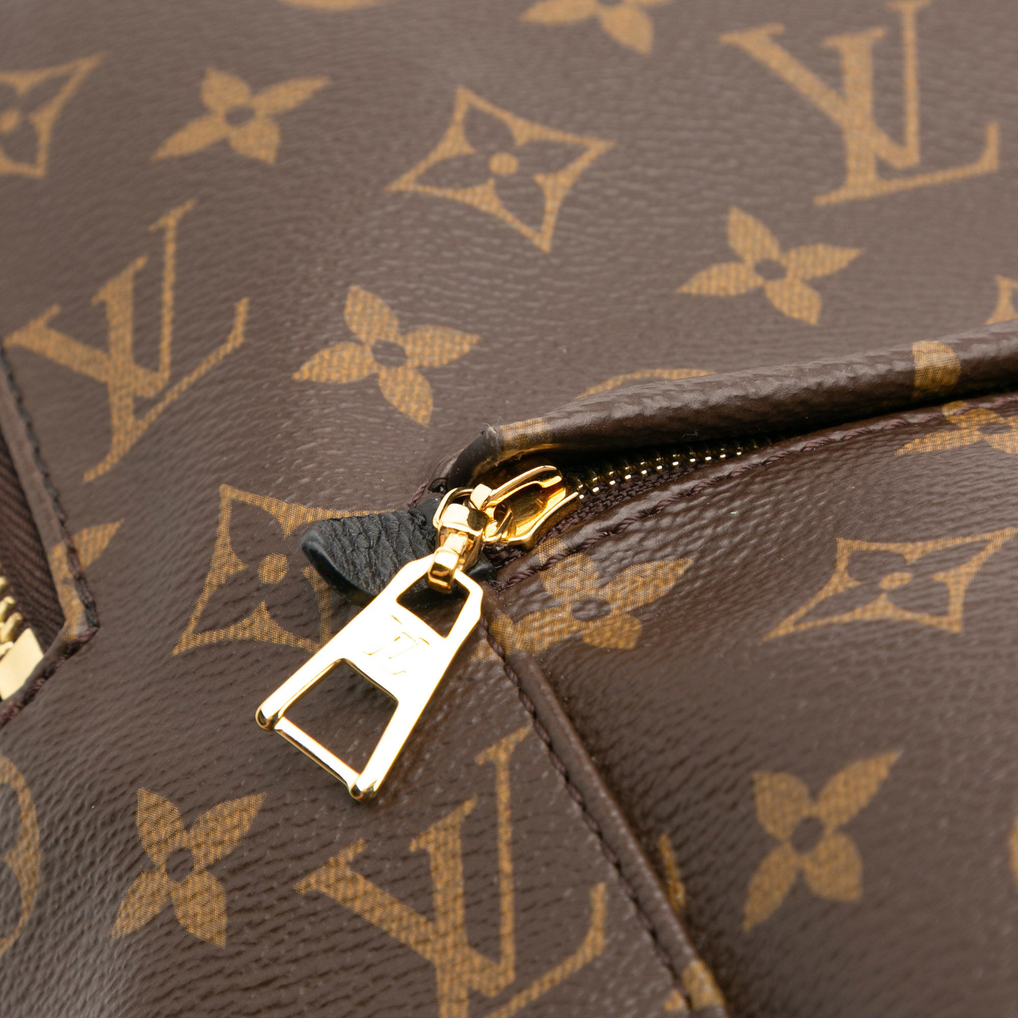 Louis Vuitton Monogram Palm Springs MM - image 6