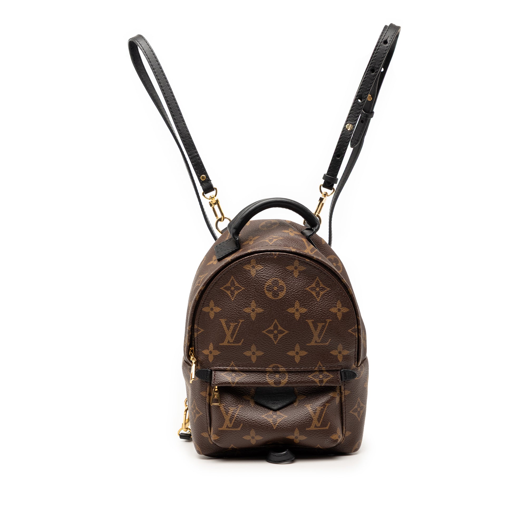 Louis Vuitton Monogram Mini Palm Springs - image 1