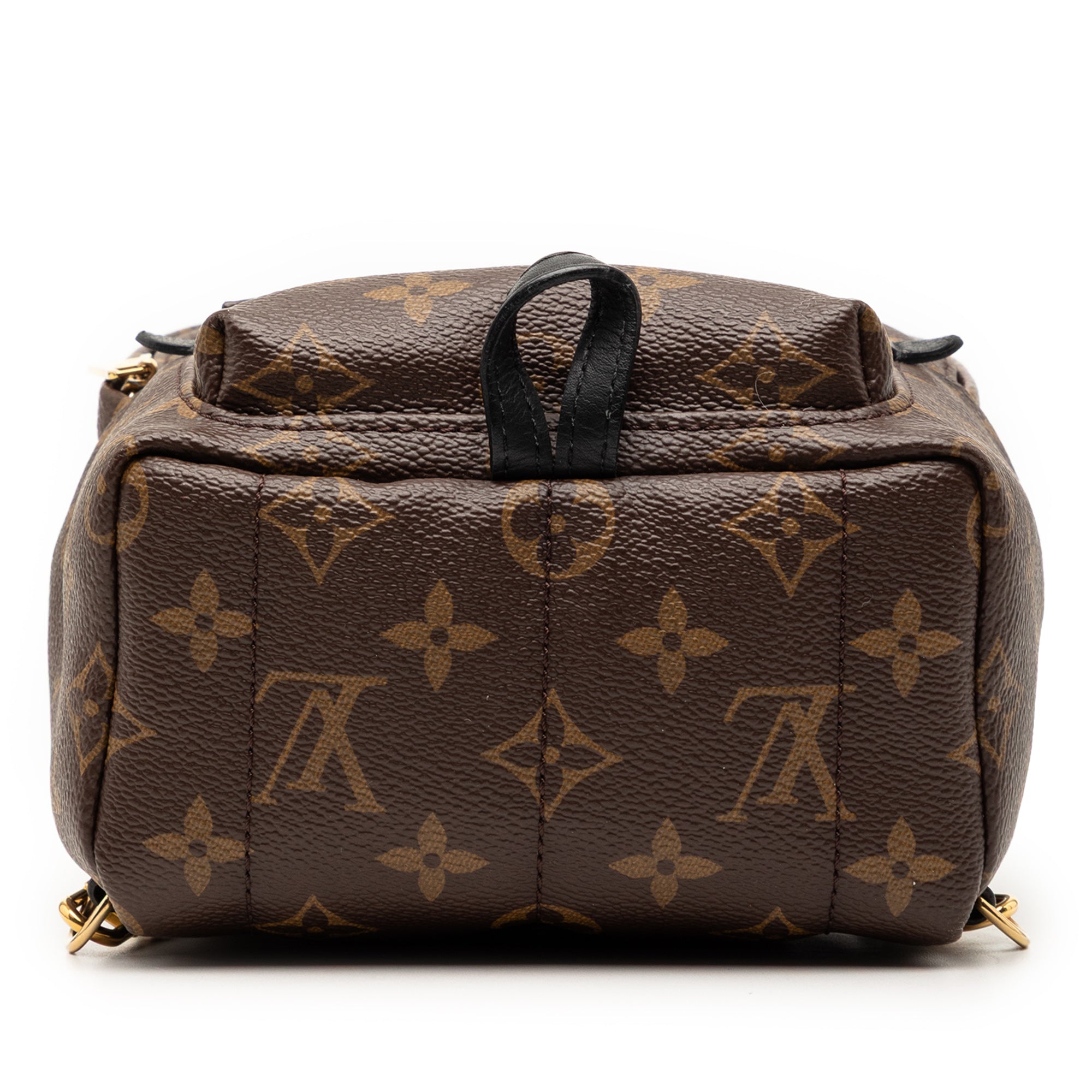 Louis Vuitton Monogram Mini Palm Springs - image 3