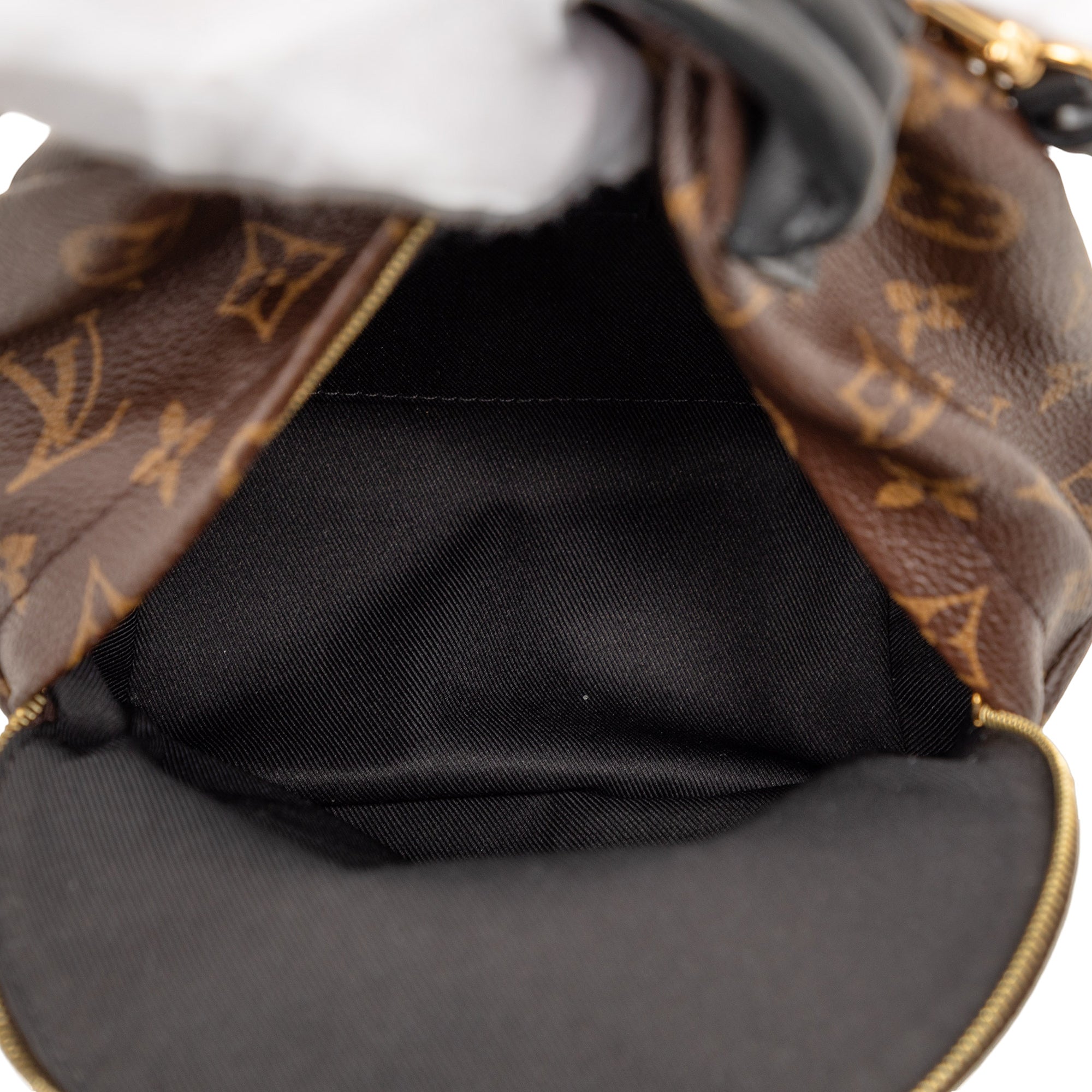 Louis Vuitton Monogram Mini Palm Springs - image 4