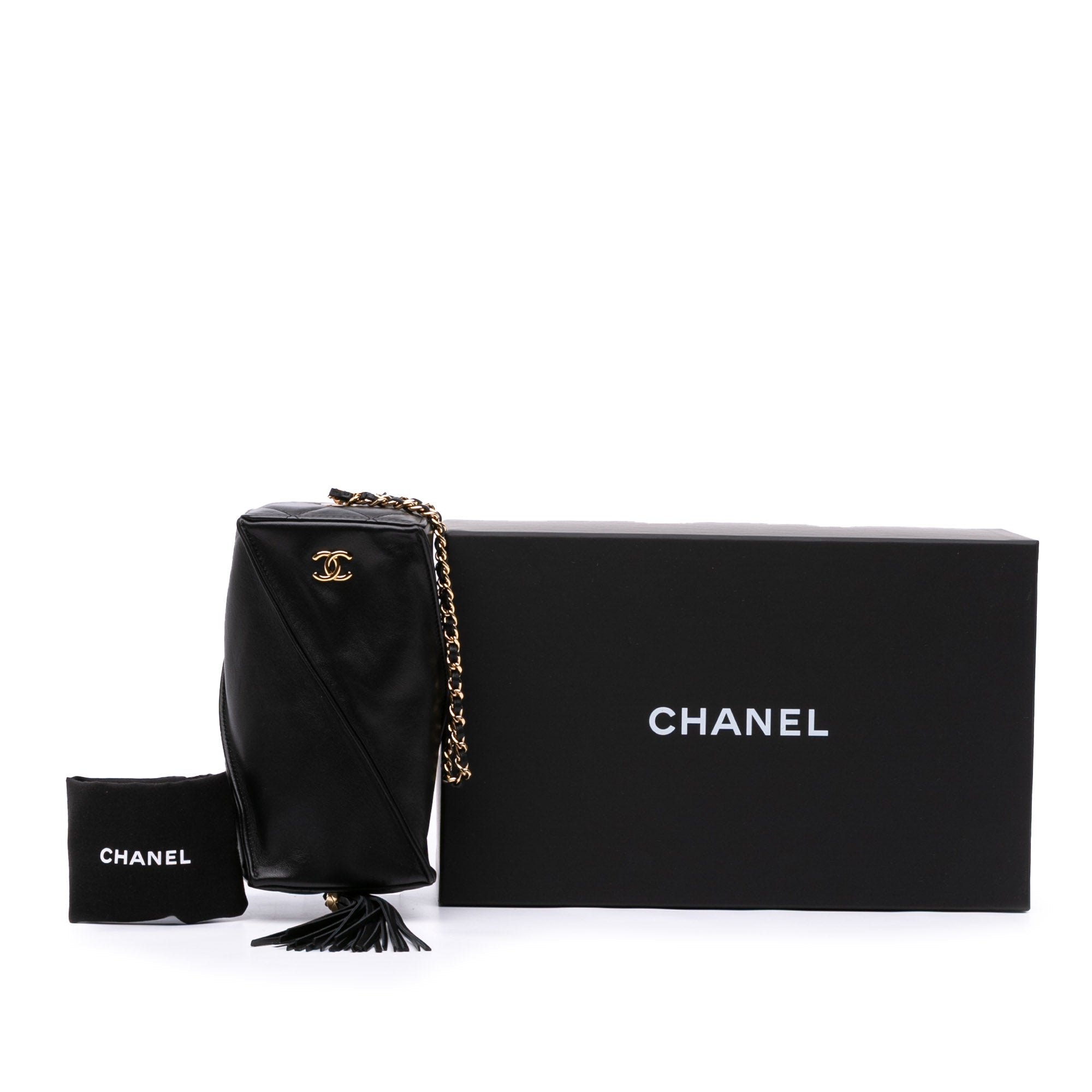 Chanel Metiers d'Art CC Lambskin Tassel Rectangle Clutch with Chain - image 11