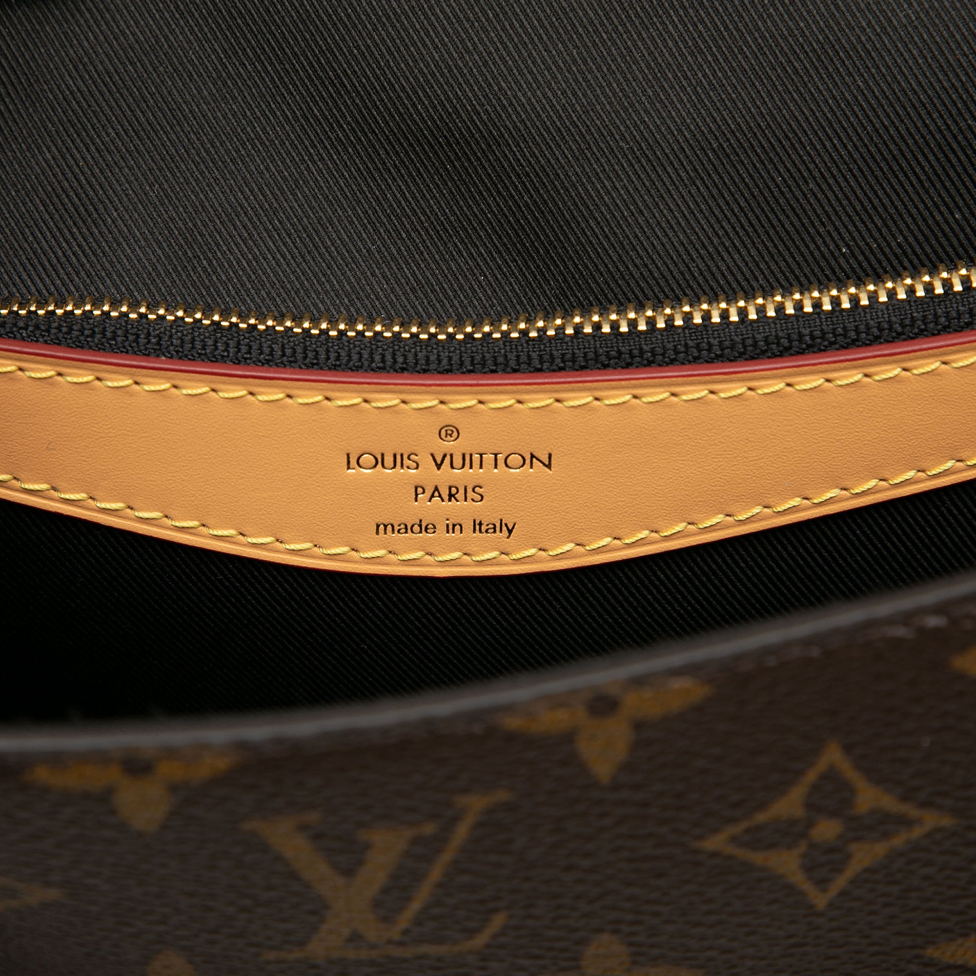 Louis Vuitton Monogram Diane - image 5