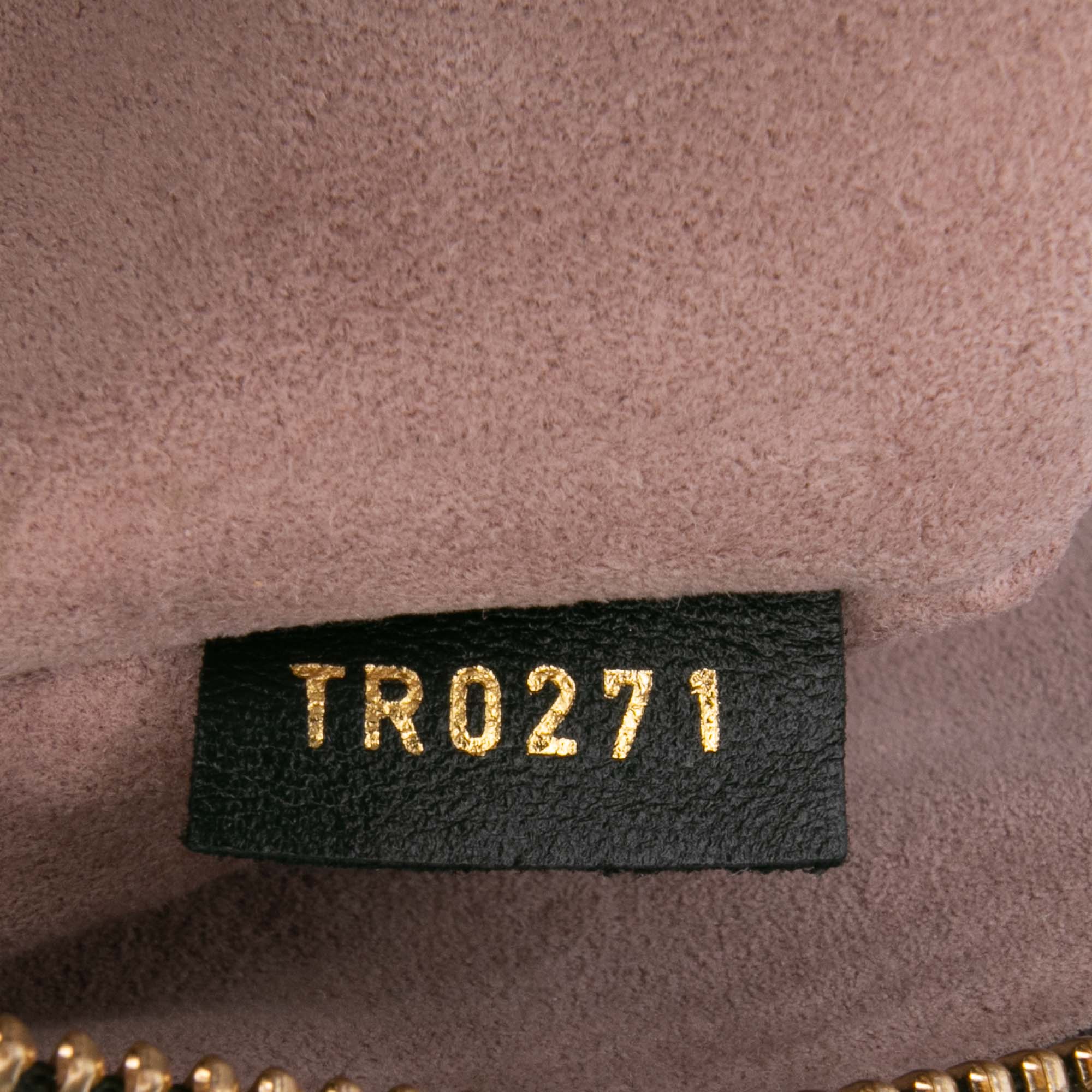 Louis Vuitton Monogram Embossed Puffy Lambskin Coussin PM - image 6