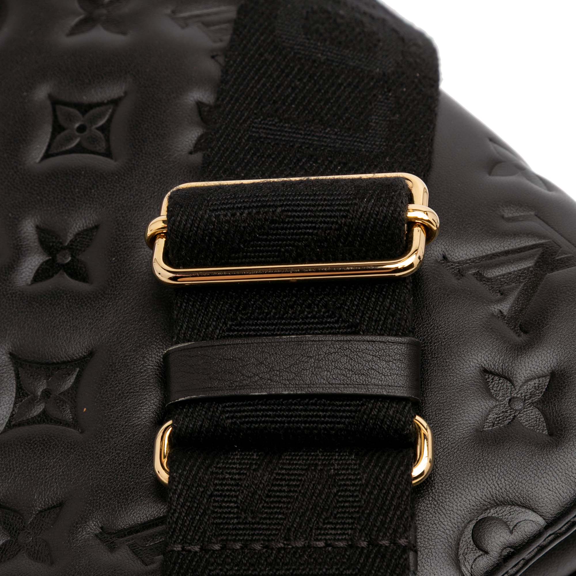 Louis Vuitton Monogram Embossed Puffy Lambskin Coussin PM - image 9
