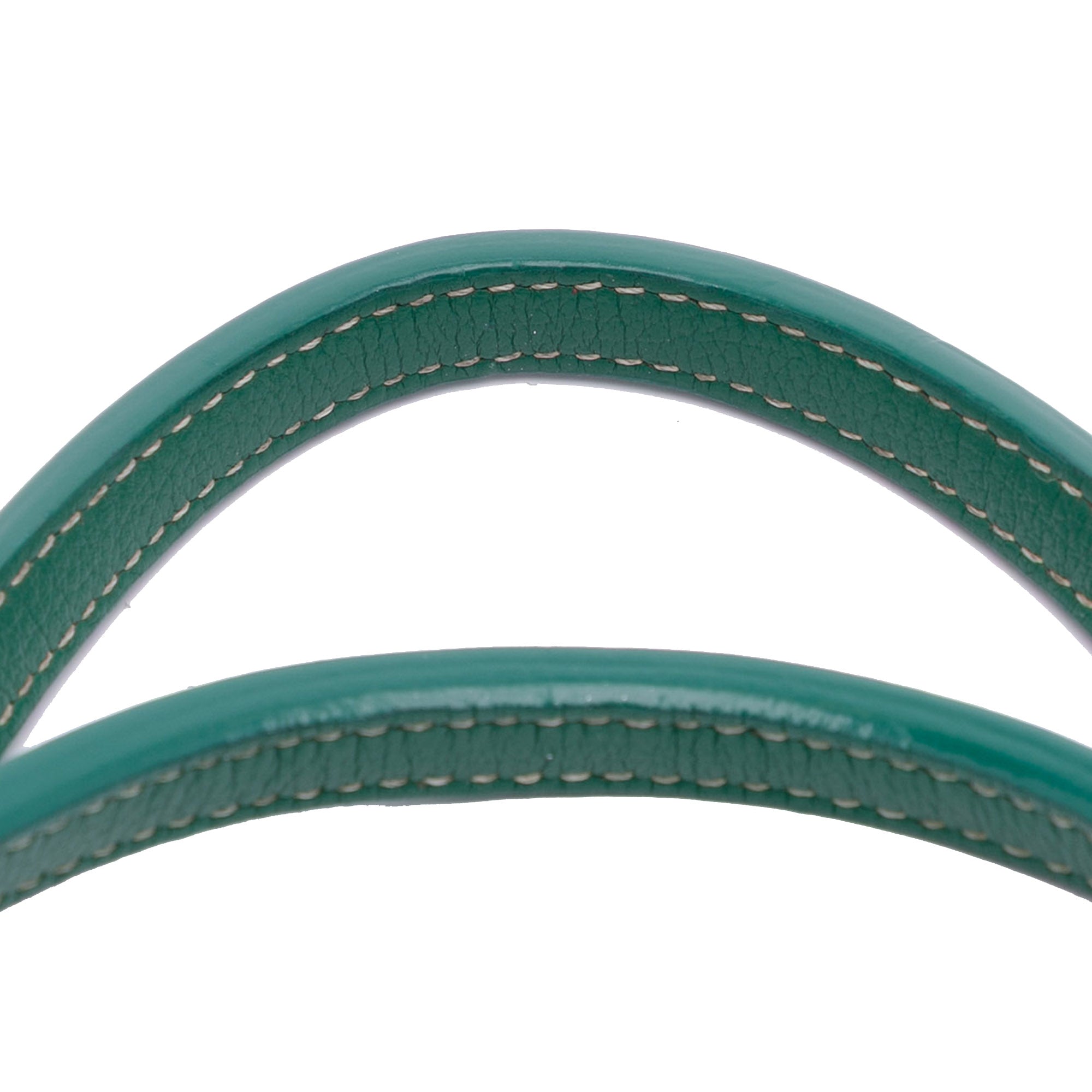Goyard Goyardine Saint Louis PM - image 10