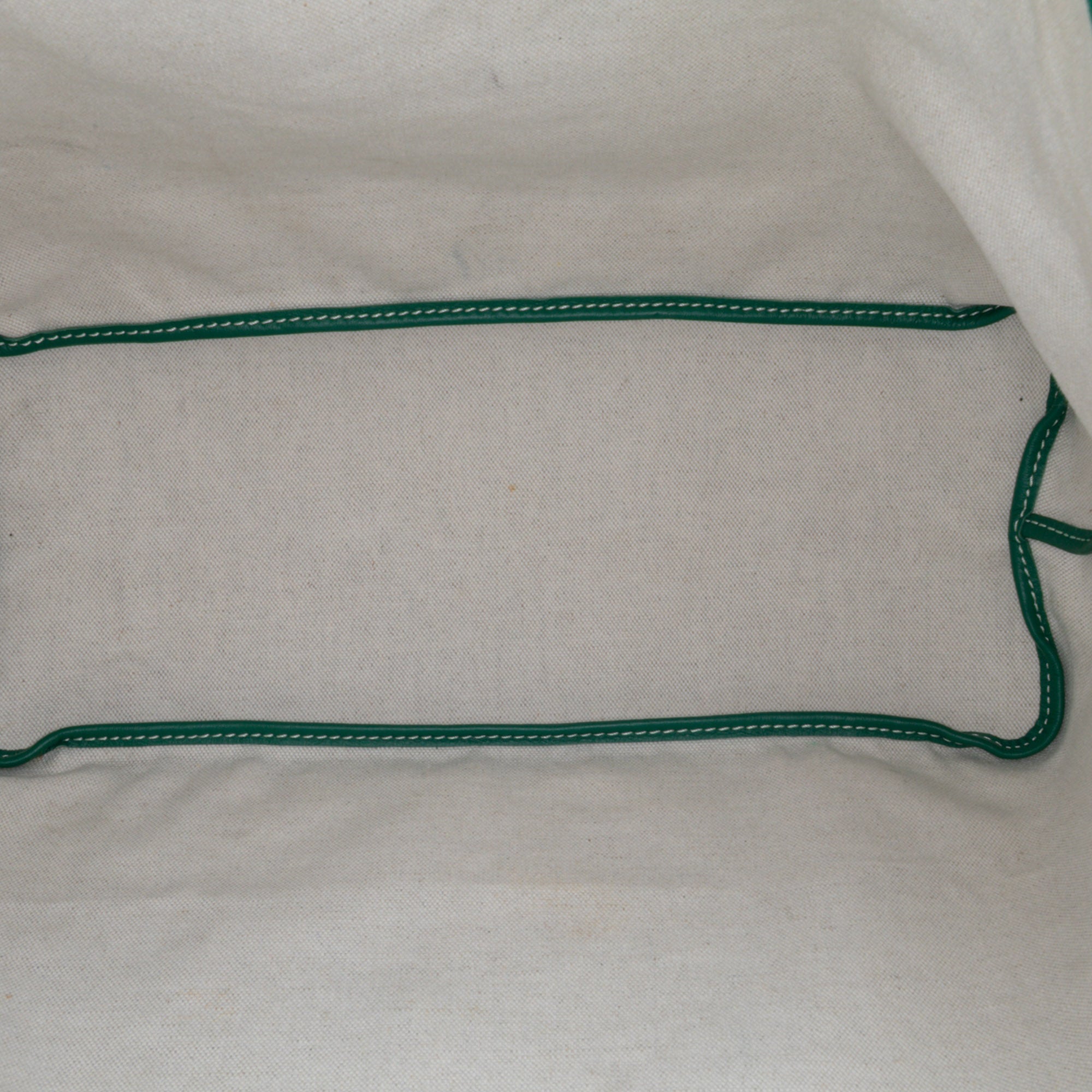 Goyard Goyardine Saint Louis PM - image 5