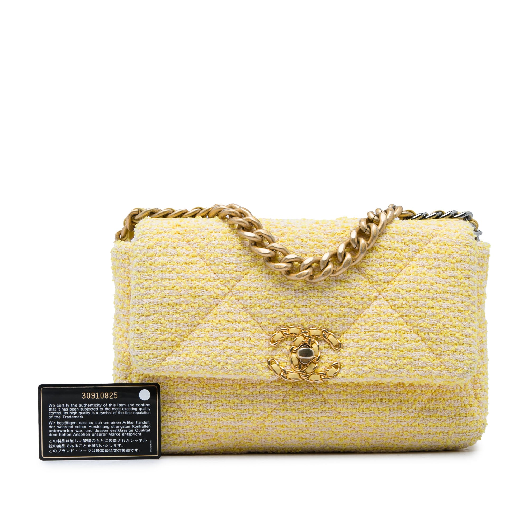 Chanel Medium Tweed 19 Flap - image 6