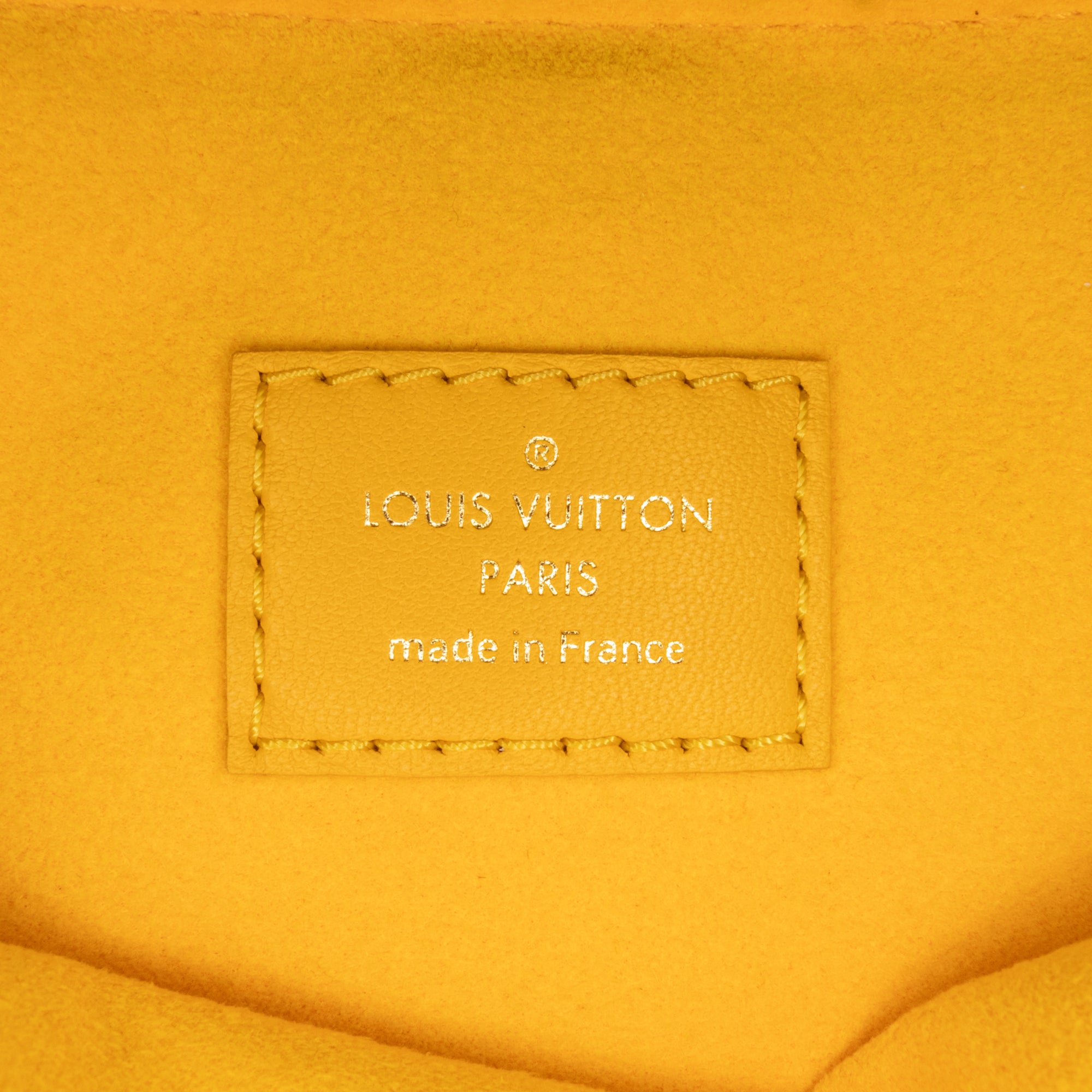 Louis Vuitton Monogram Coussin PM - image 9