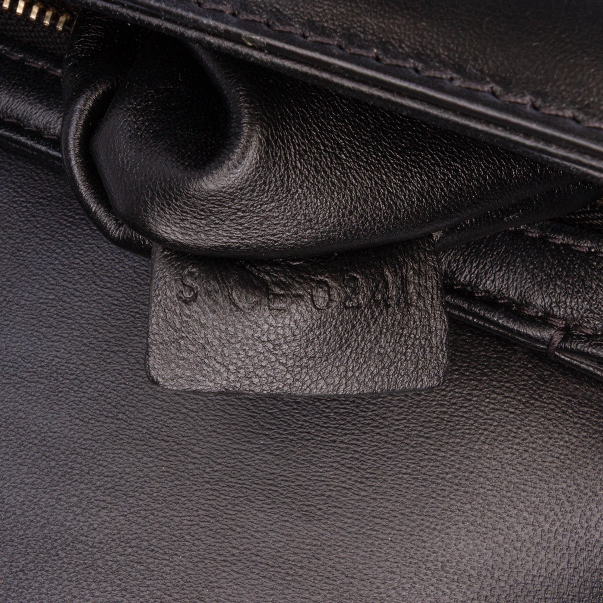 Celine Teen Embroidered Canvas and Calfskin Triomphe Crossbody - image 5
