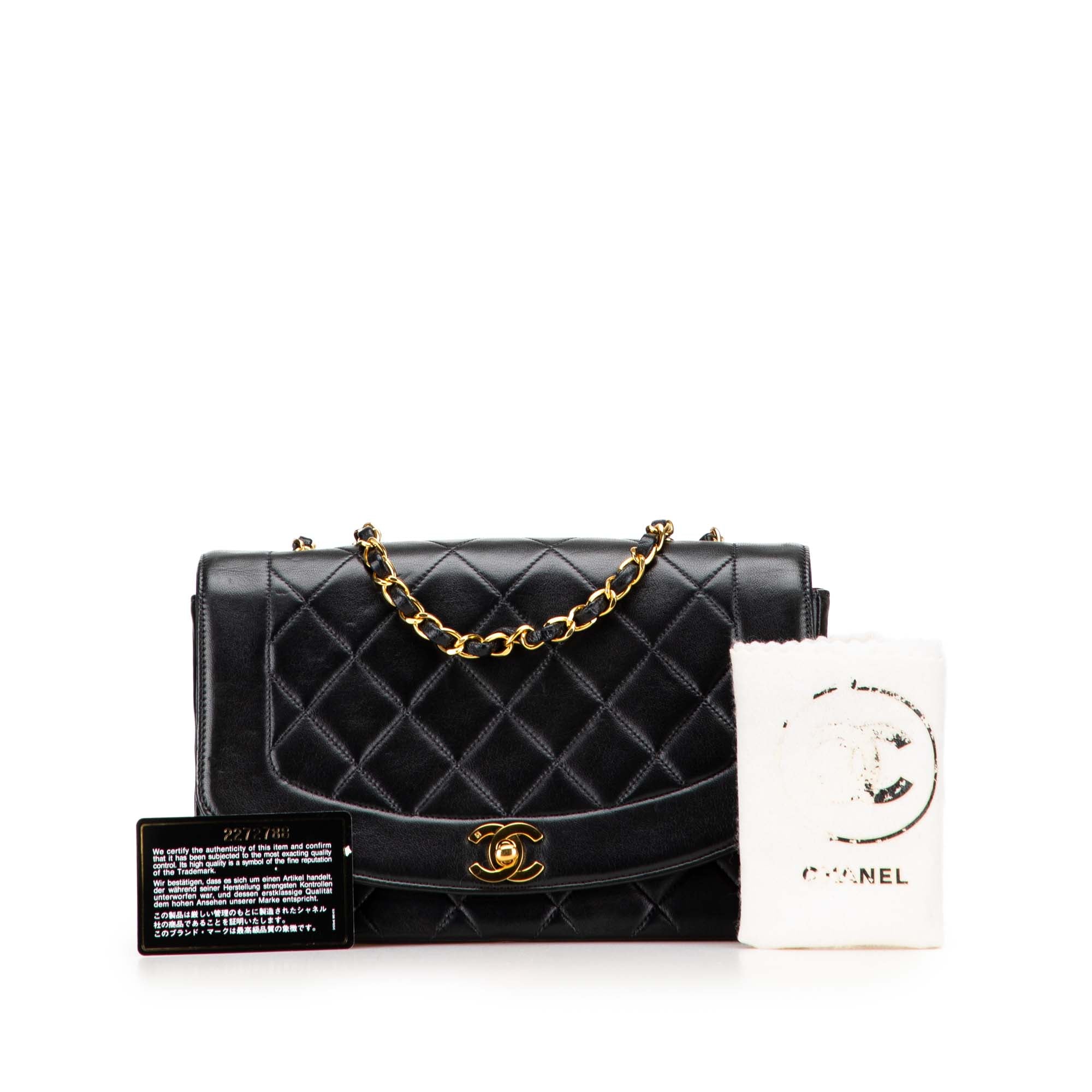 Chanel Medium Lambskin Diana Flap - image 10