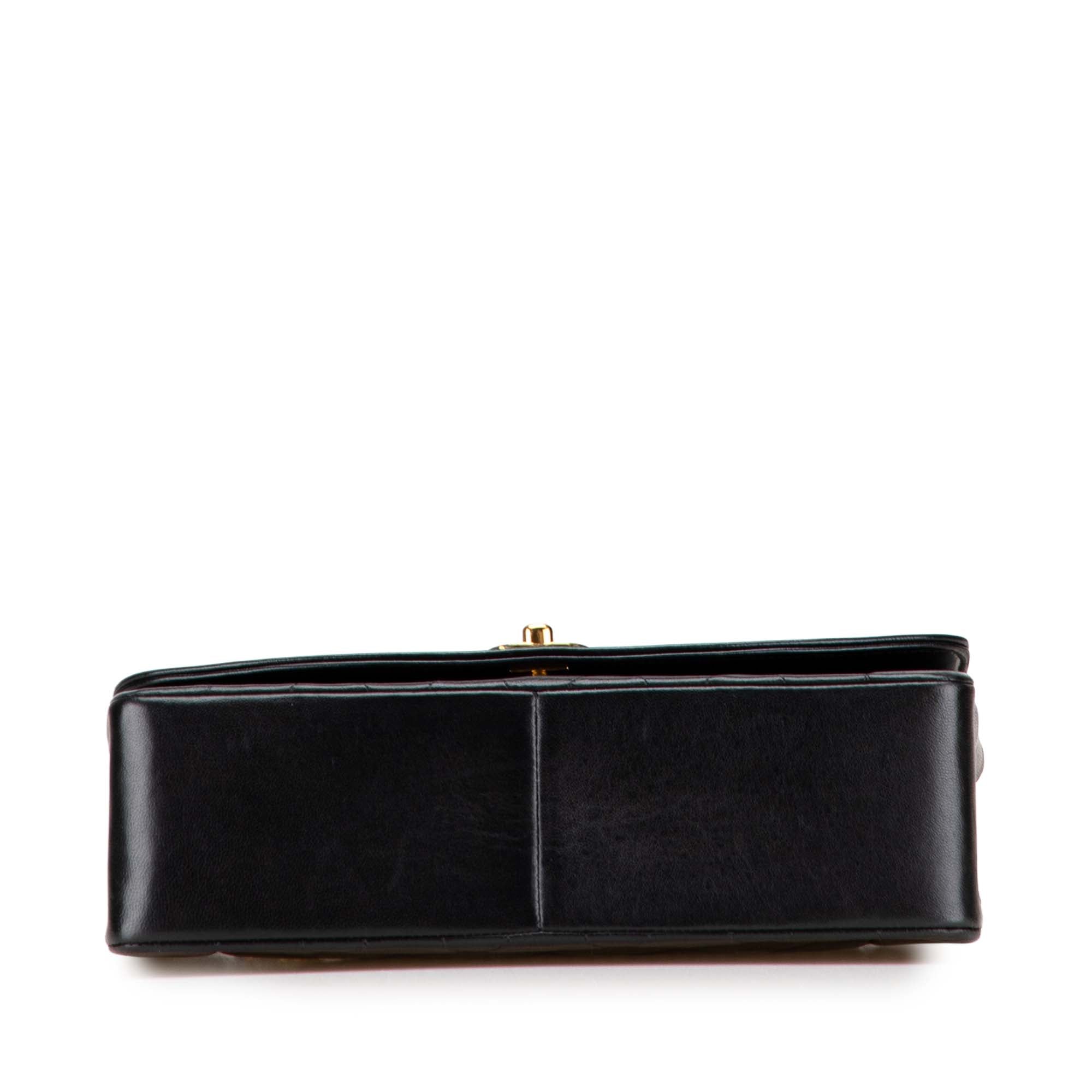 Chanel Medium Lambskin Diana Flap - image 3