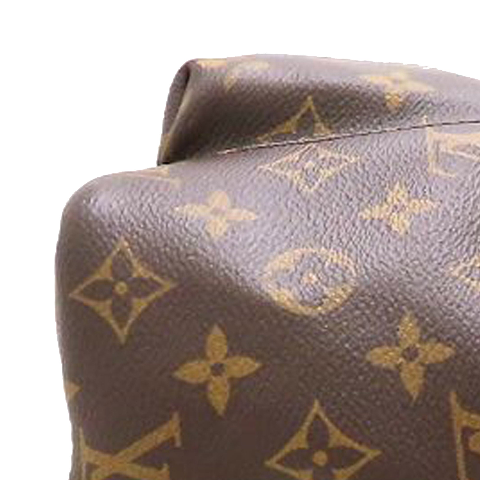 Louis Vuitton Monogram Palm Springs MM - image 13
