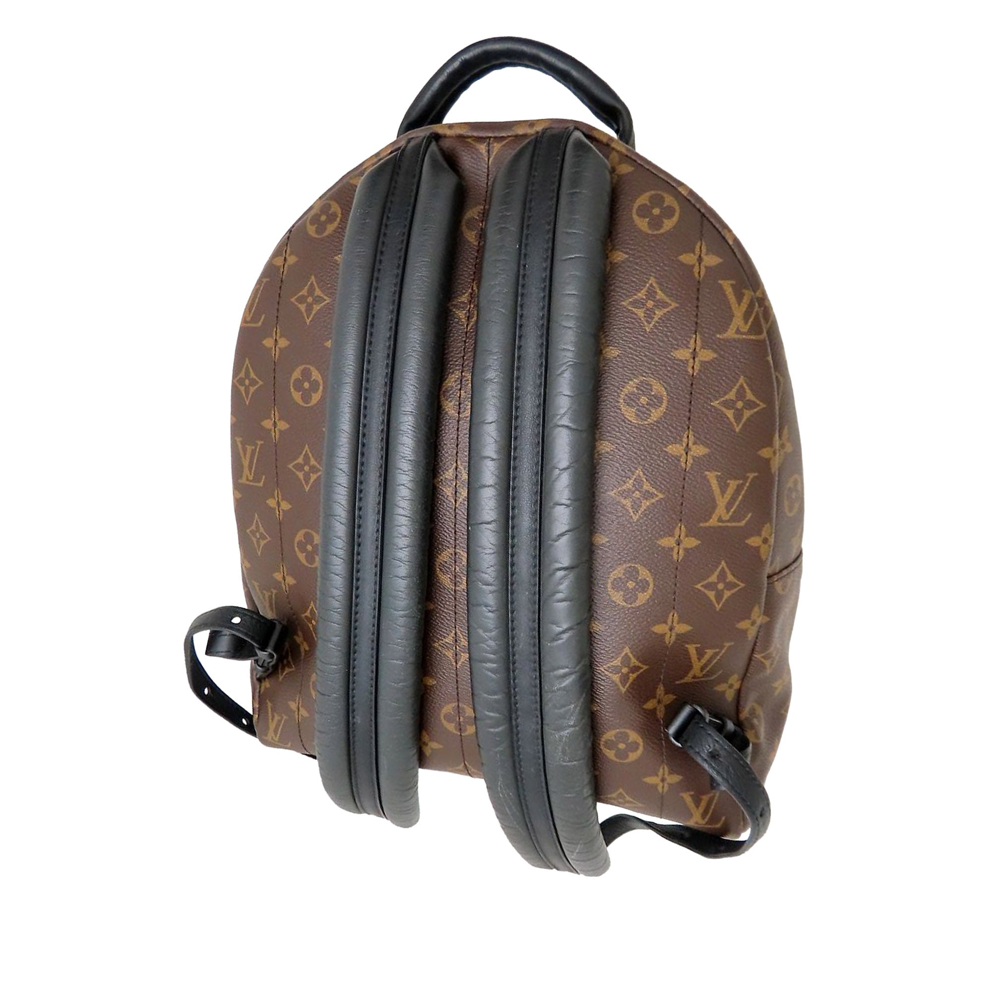 Louis Vuitton Monogram Palm Springs MM - image 2