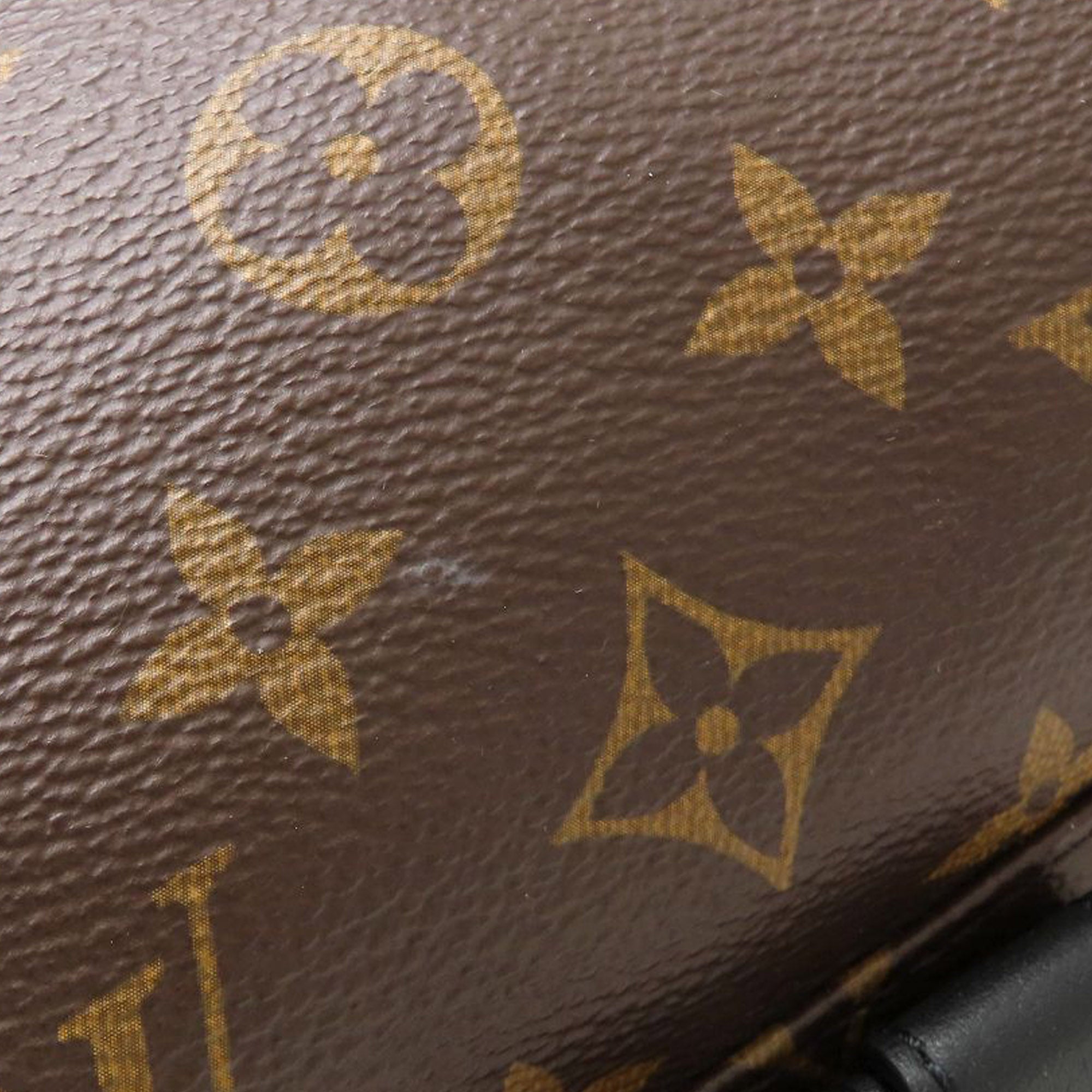 Louis Vuitton Monogram Palm Springs MM - image 20