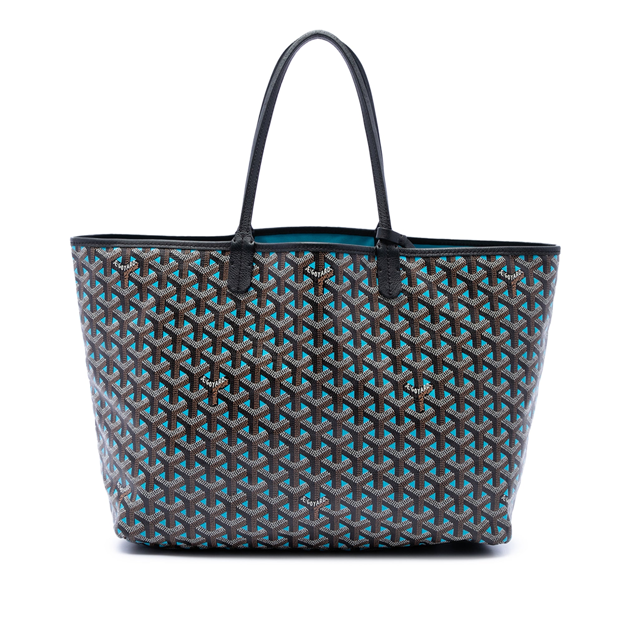 Goyard Goyardine Claire Voie Saint Louis PM - image 1