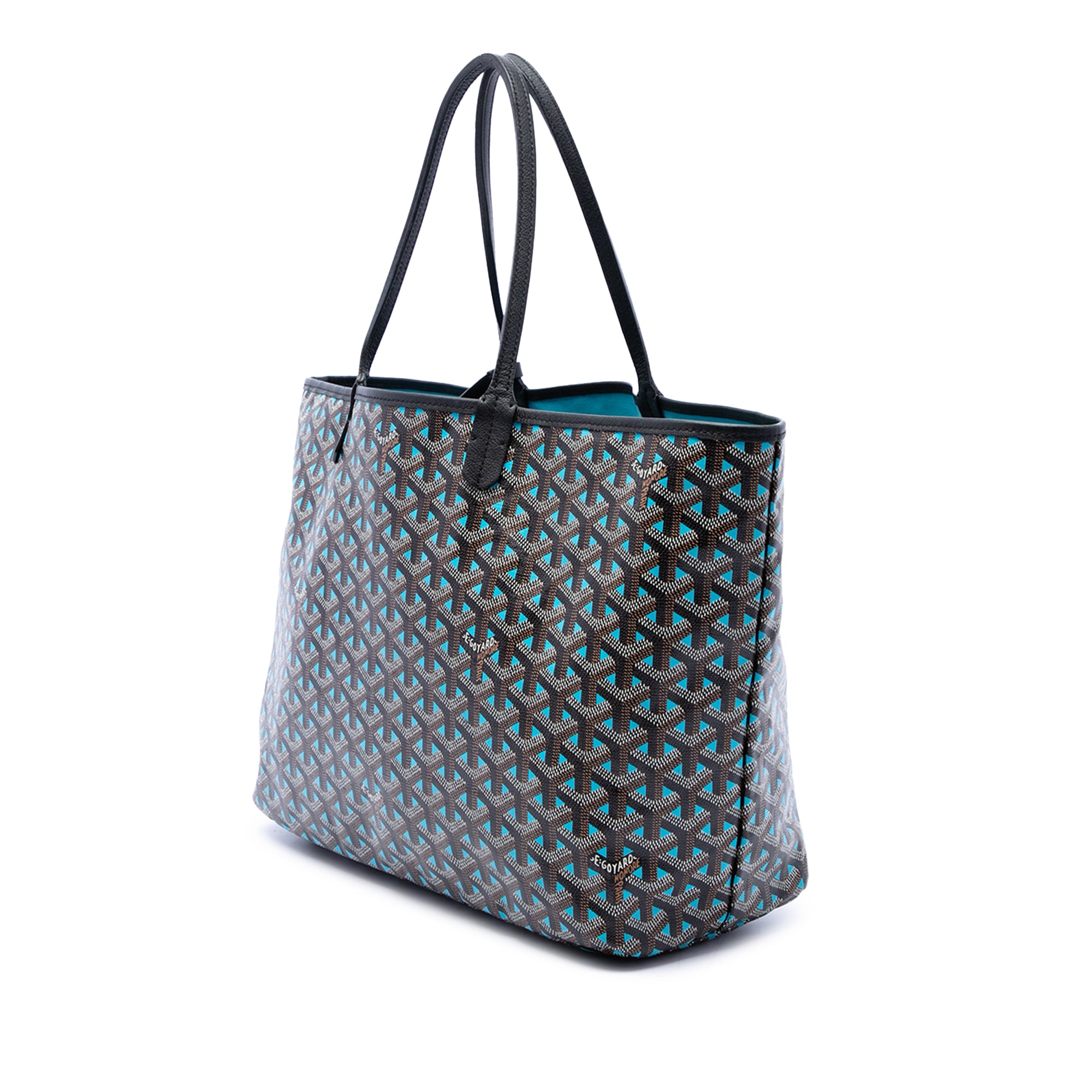Goyard Goyardine Claire Voie Saint Louis PM - image 2