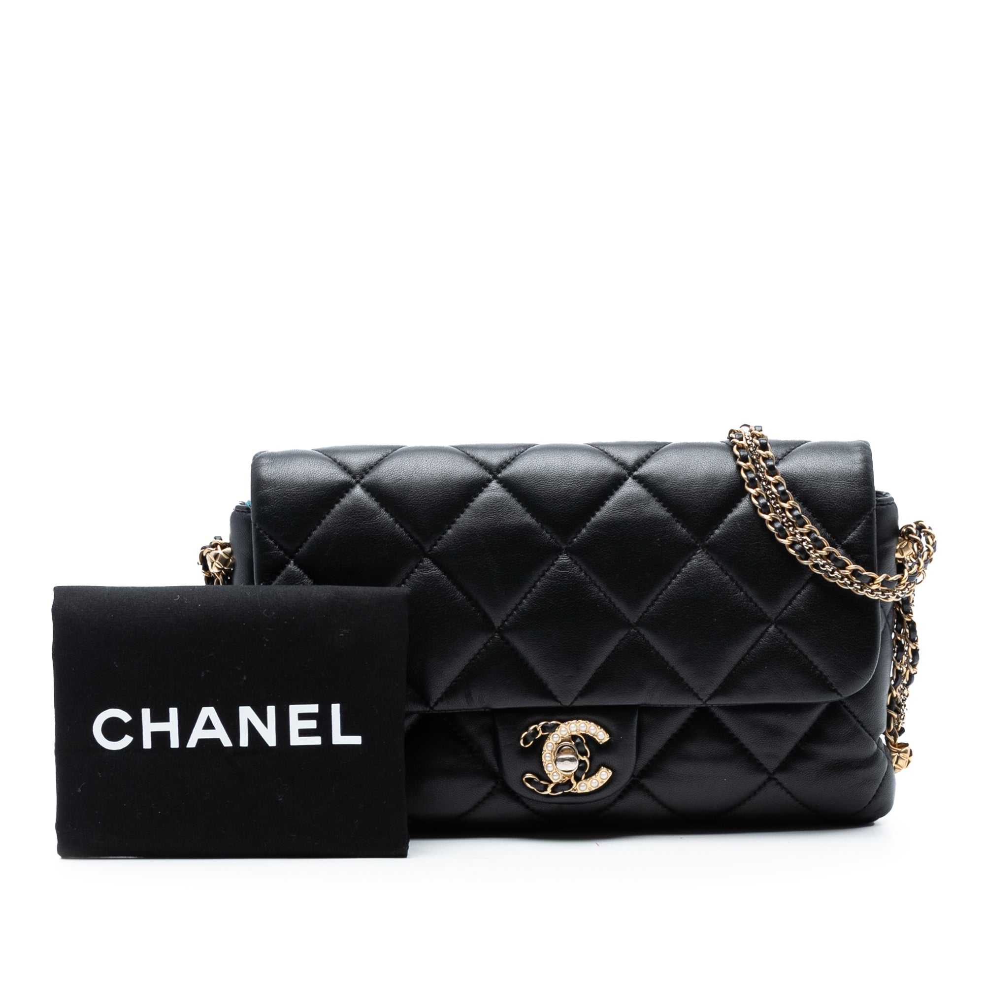 Chanel Quilted Lambskin Crush on Chains Flap - image 8