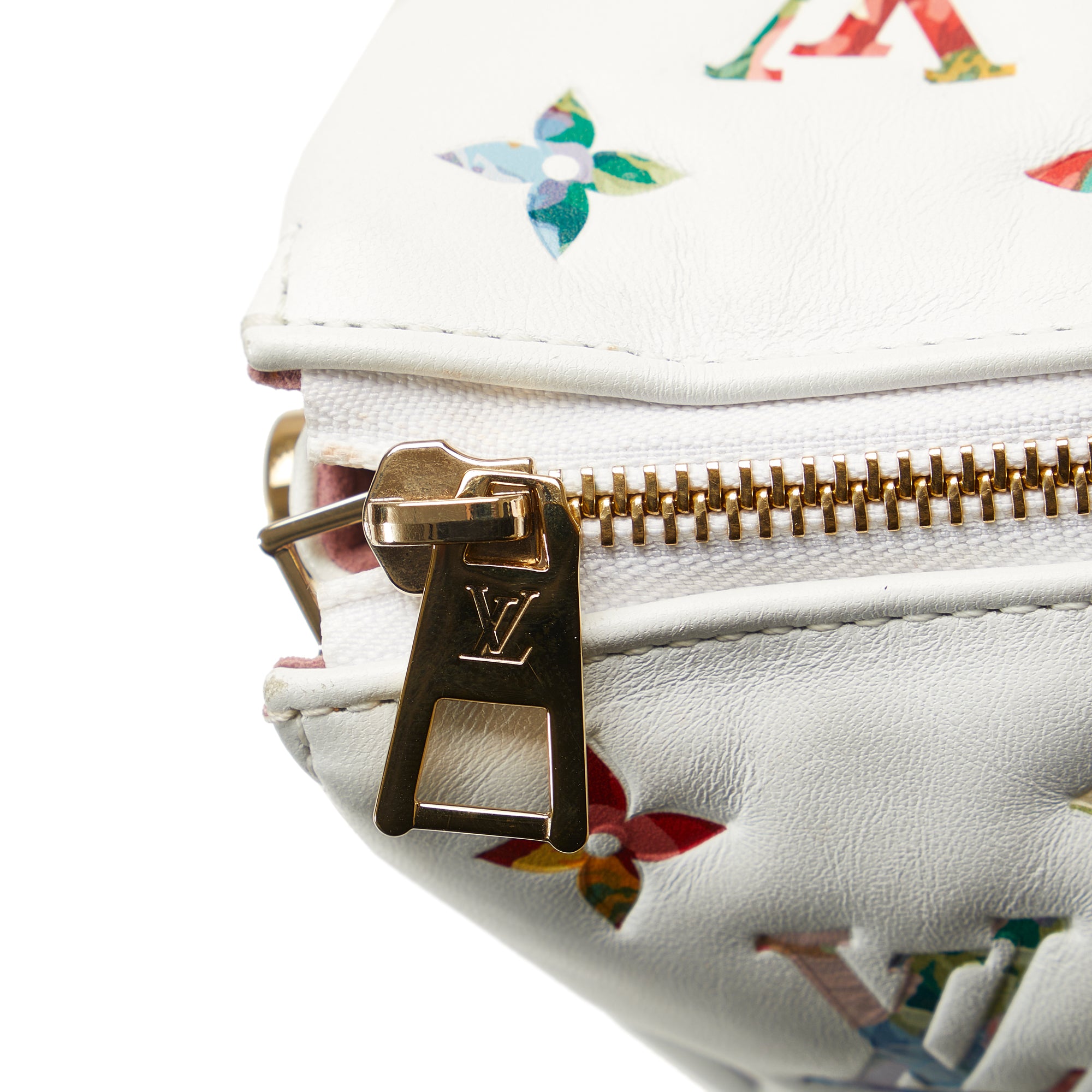 Louis Vuitton Monogram Garden Coussin PM - image 10