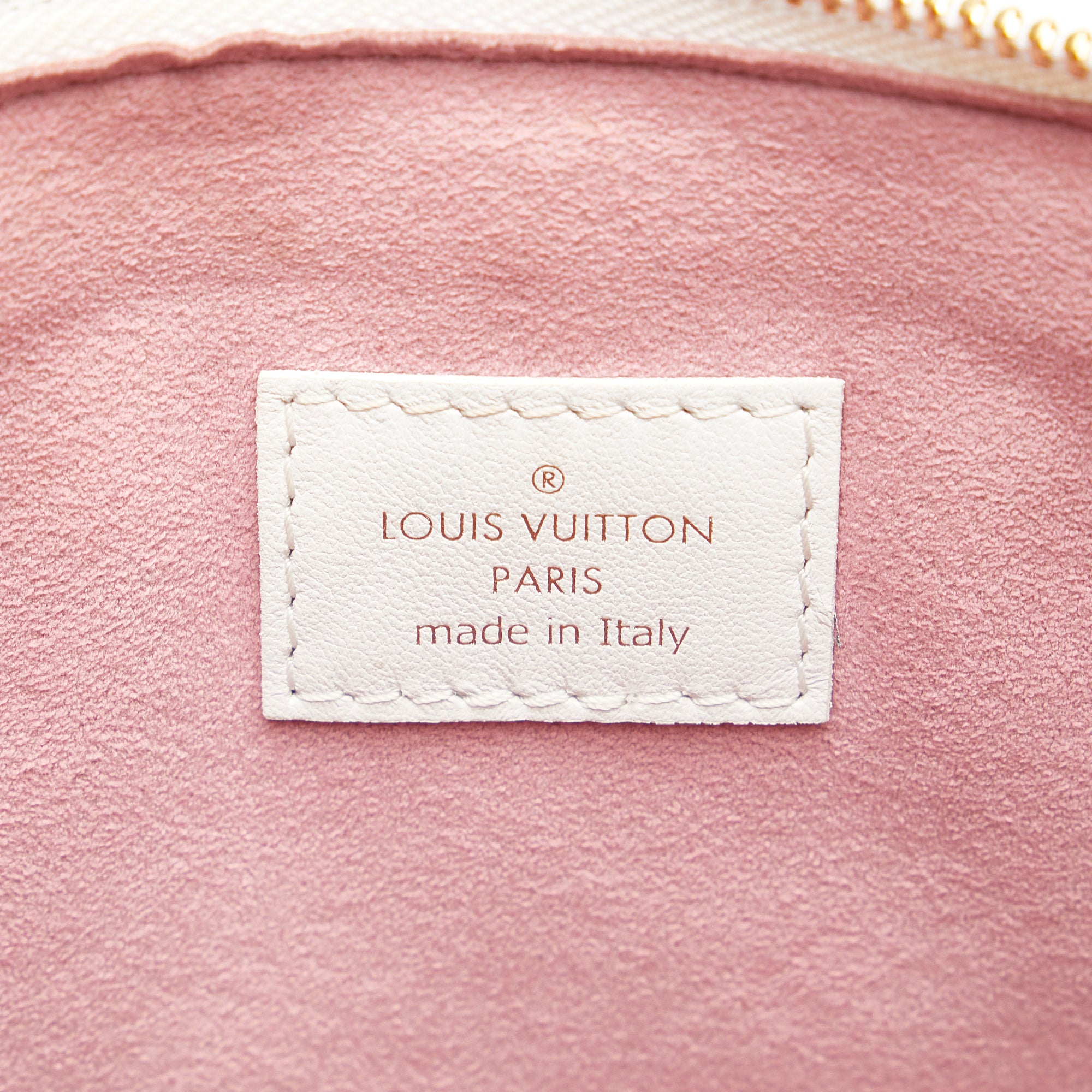 Louis Vuitton Monogram Garden Coussin PM - image 8