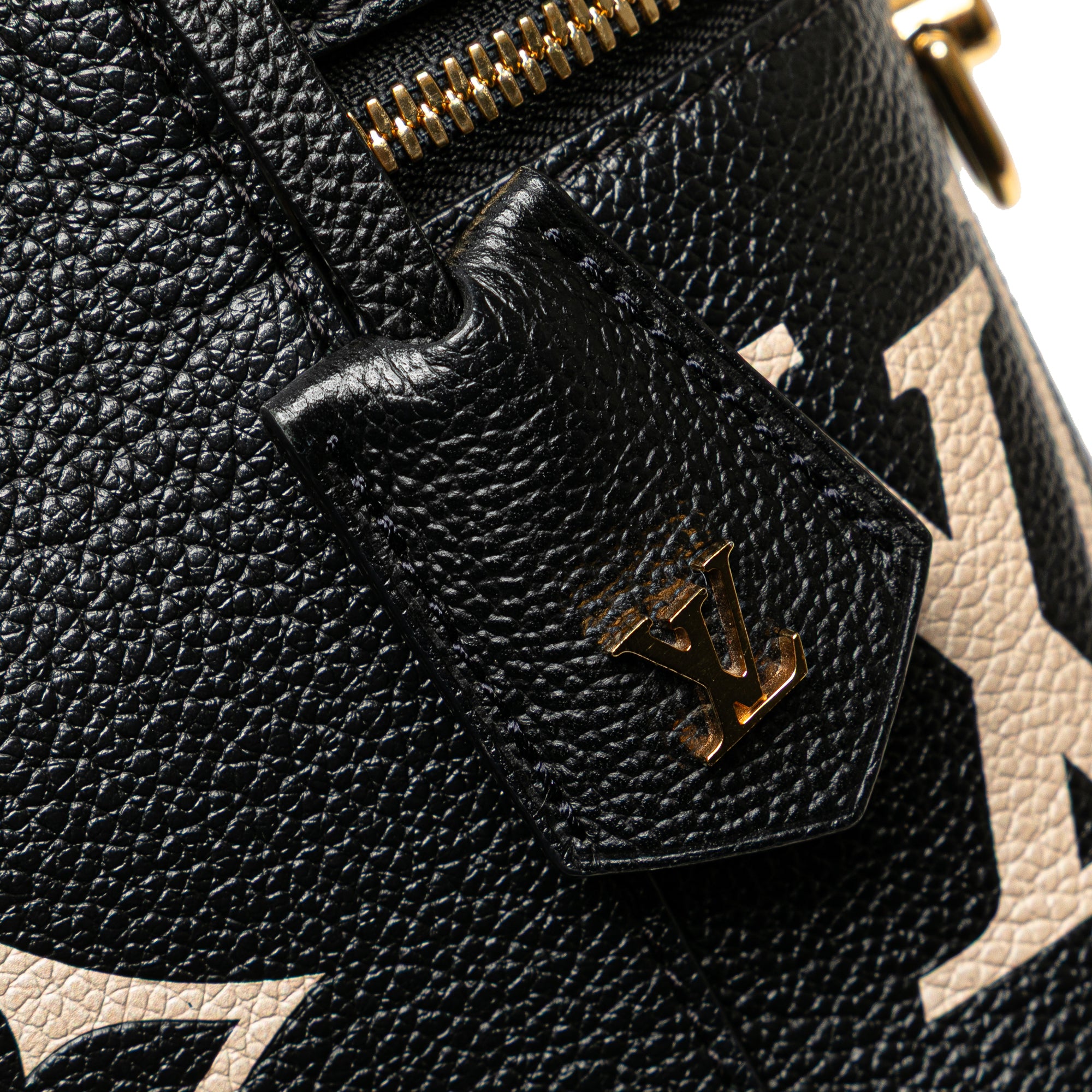 Louis Vuitton Bicolor Monogram Giant Empreinte Vanity PM - image 7