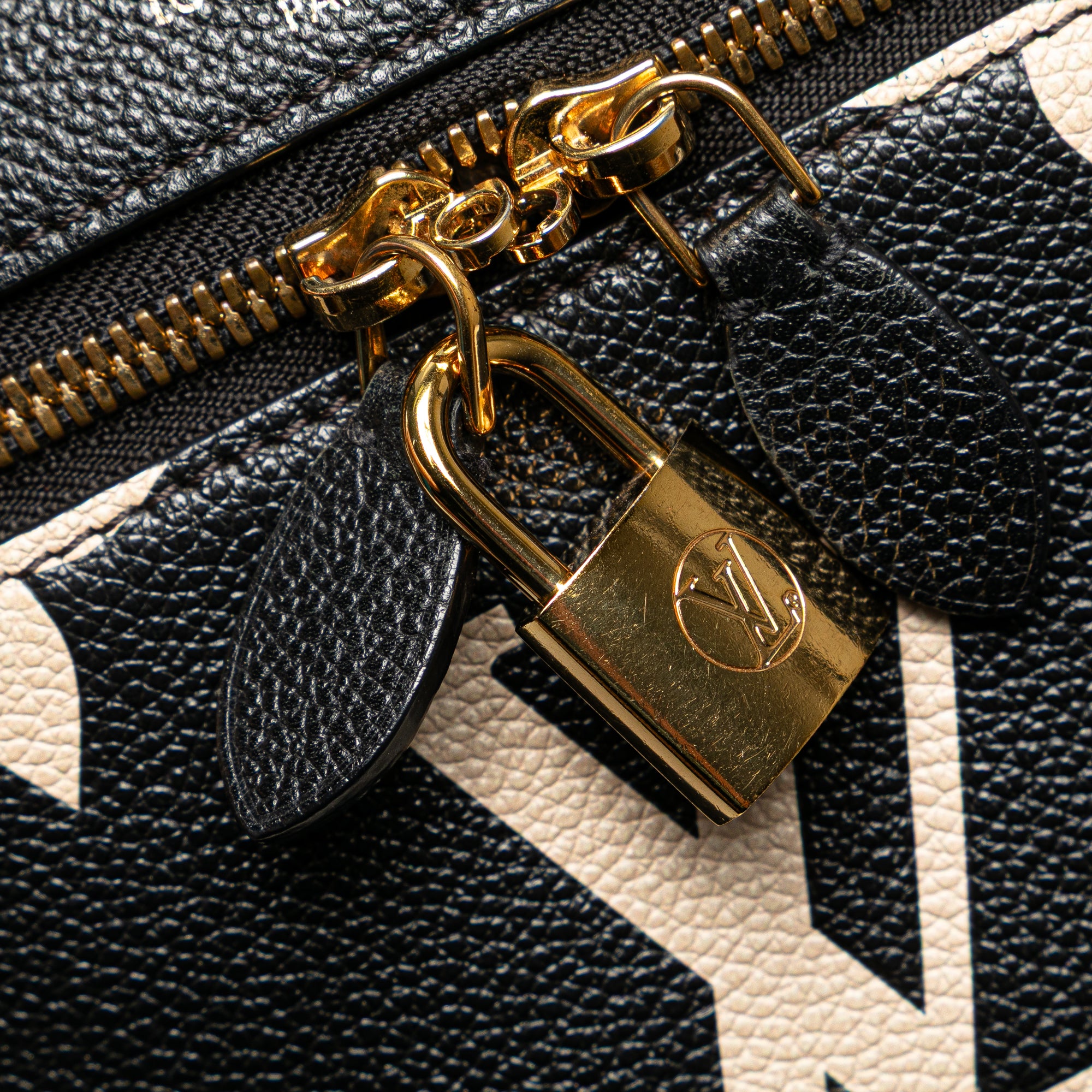 Louis Vuitton Bicolor Monogram Giant Empreinte Vanity PM - image 8
