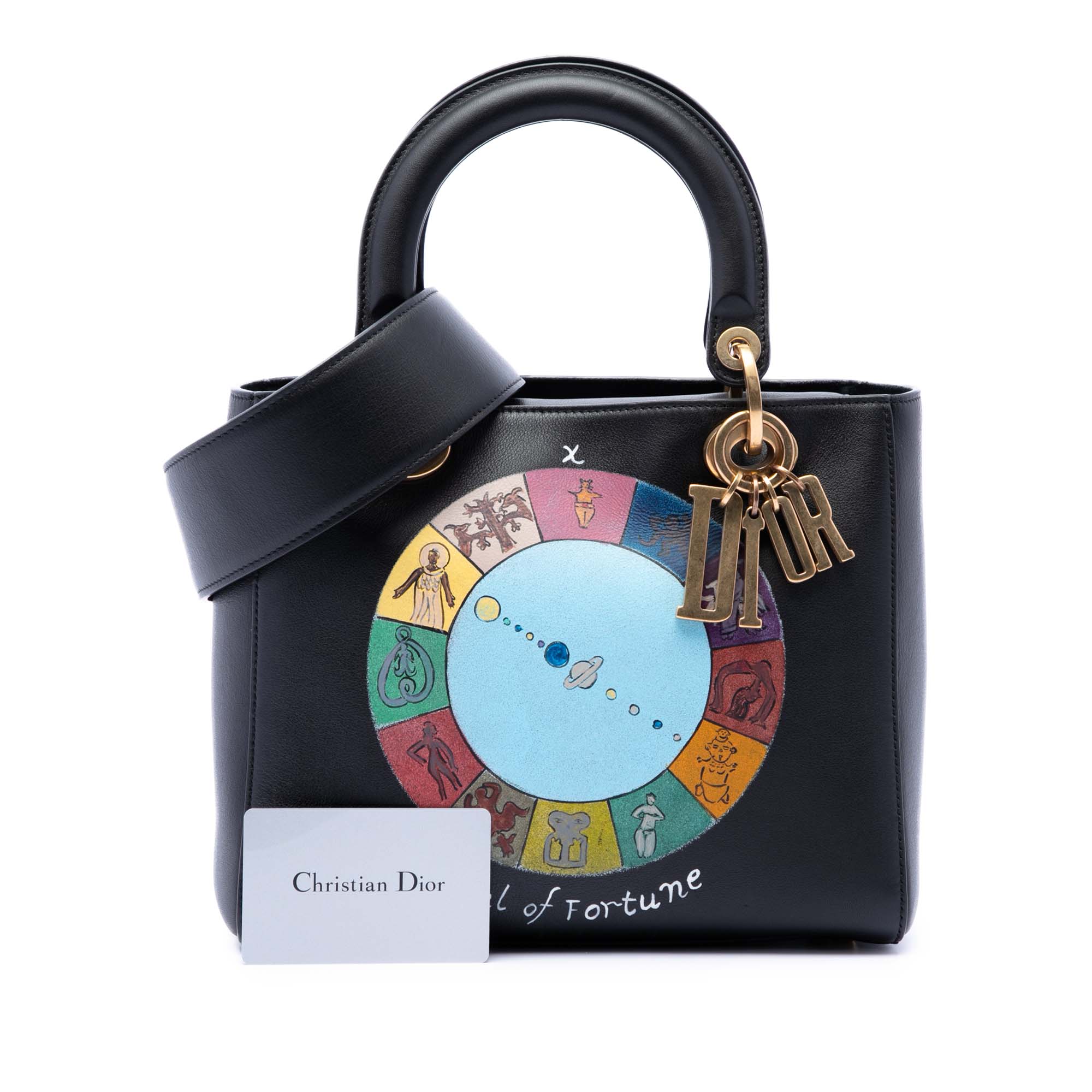 Dior Medium Calfskin Wheel of Fortune Tarot Lady Dior - image 7