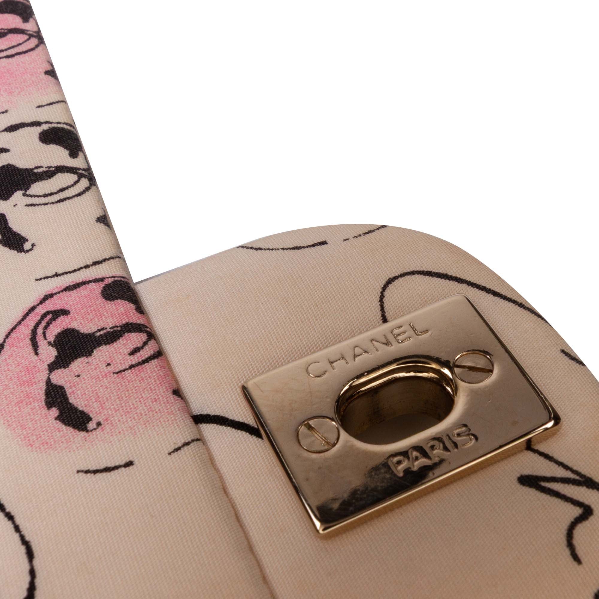 Chanel Small Quilted Nylon Printed Rue Cambon Flap - image 11