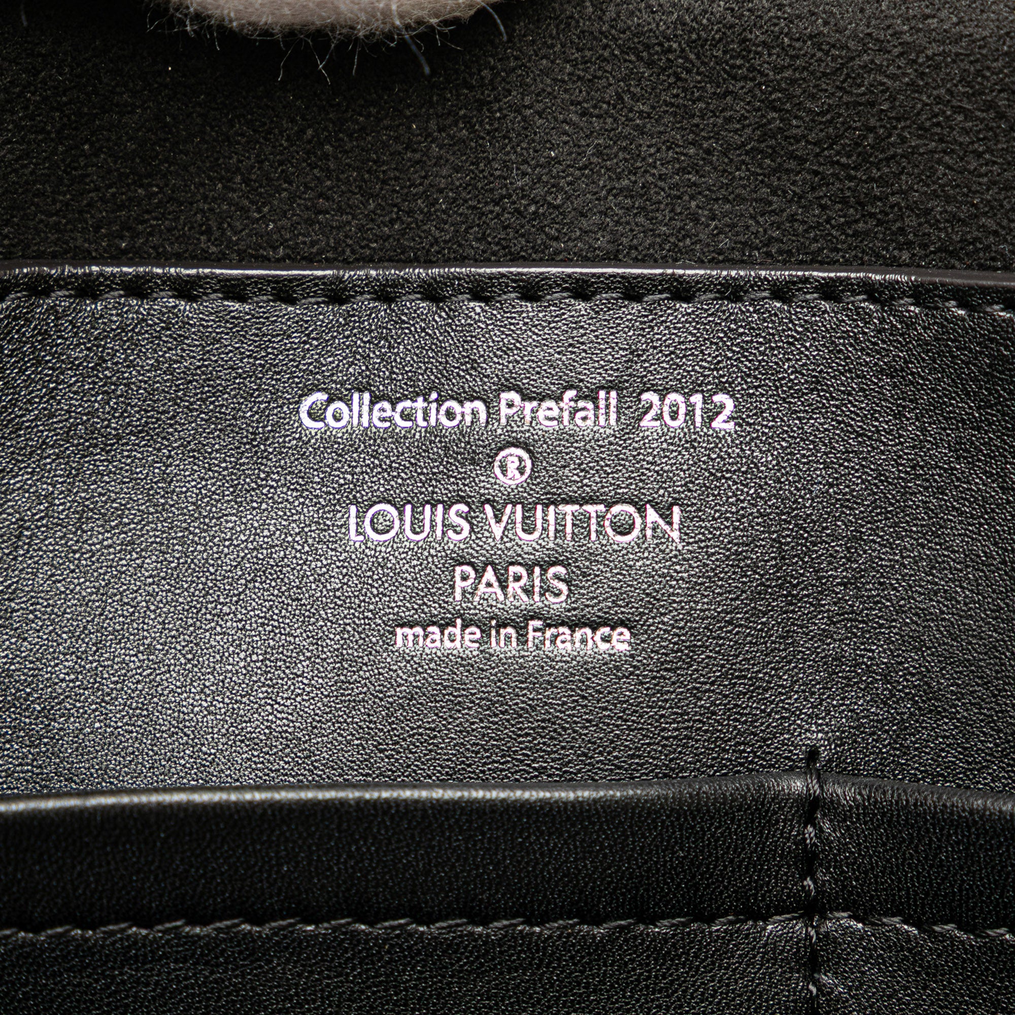 Louis Vuitton Monogram Revelation Neo Papillon GM - image 5