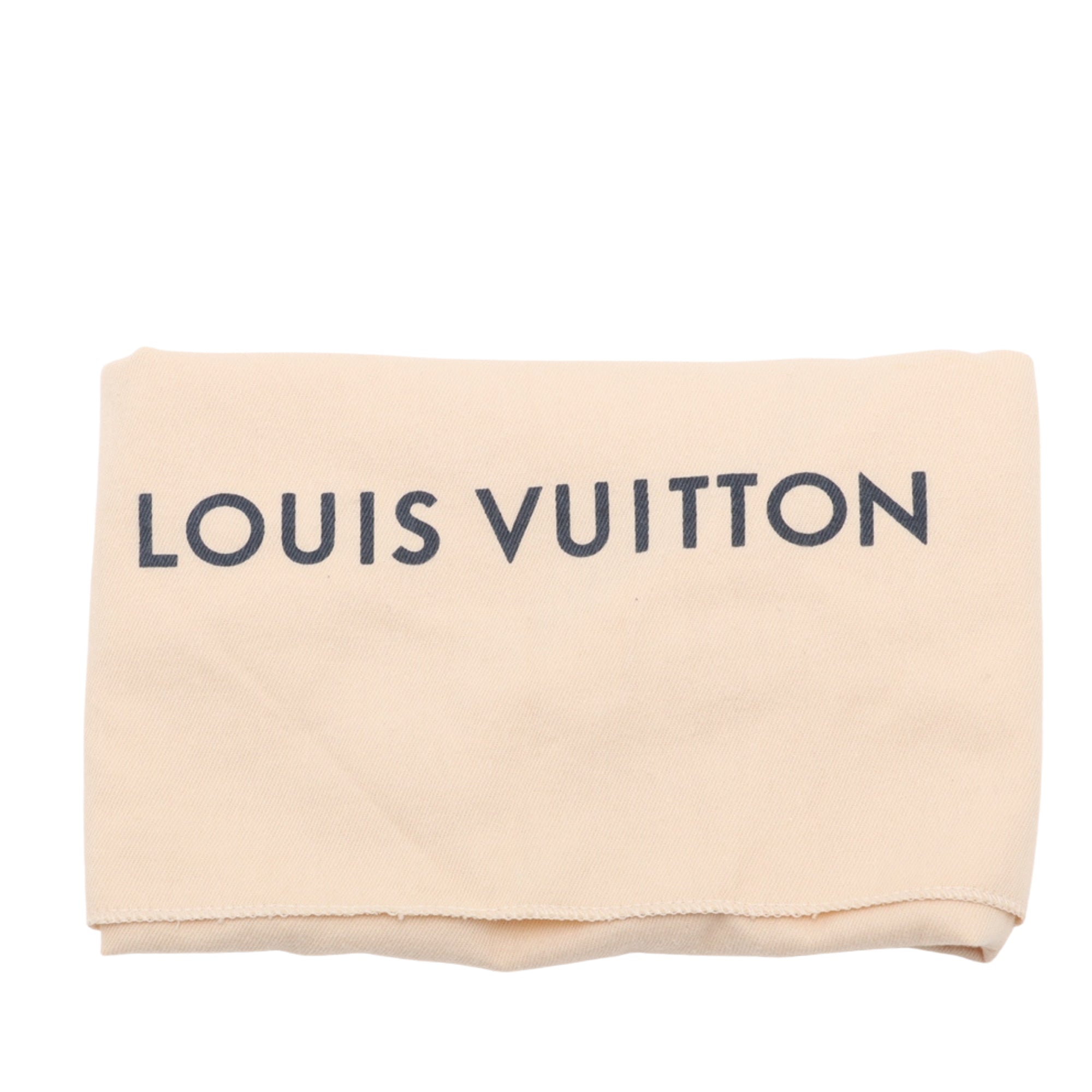 Louis Vuitton Monogram Embossed Puffy Lambskin Coussin PM - image 10