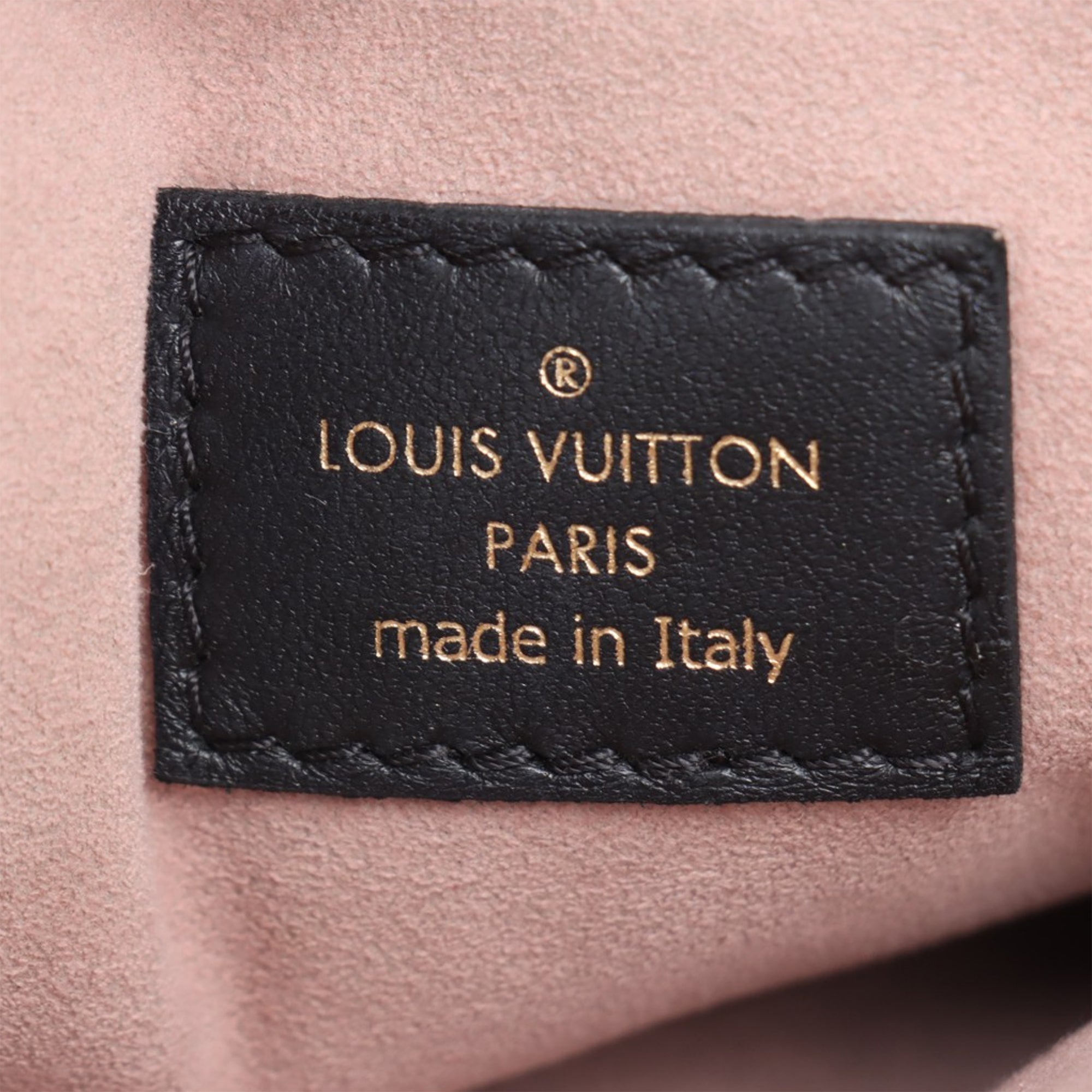 Louis Vuitton Monogram Embossed Puffy Lambskin Coussin PM - image 6