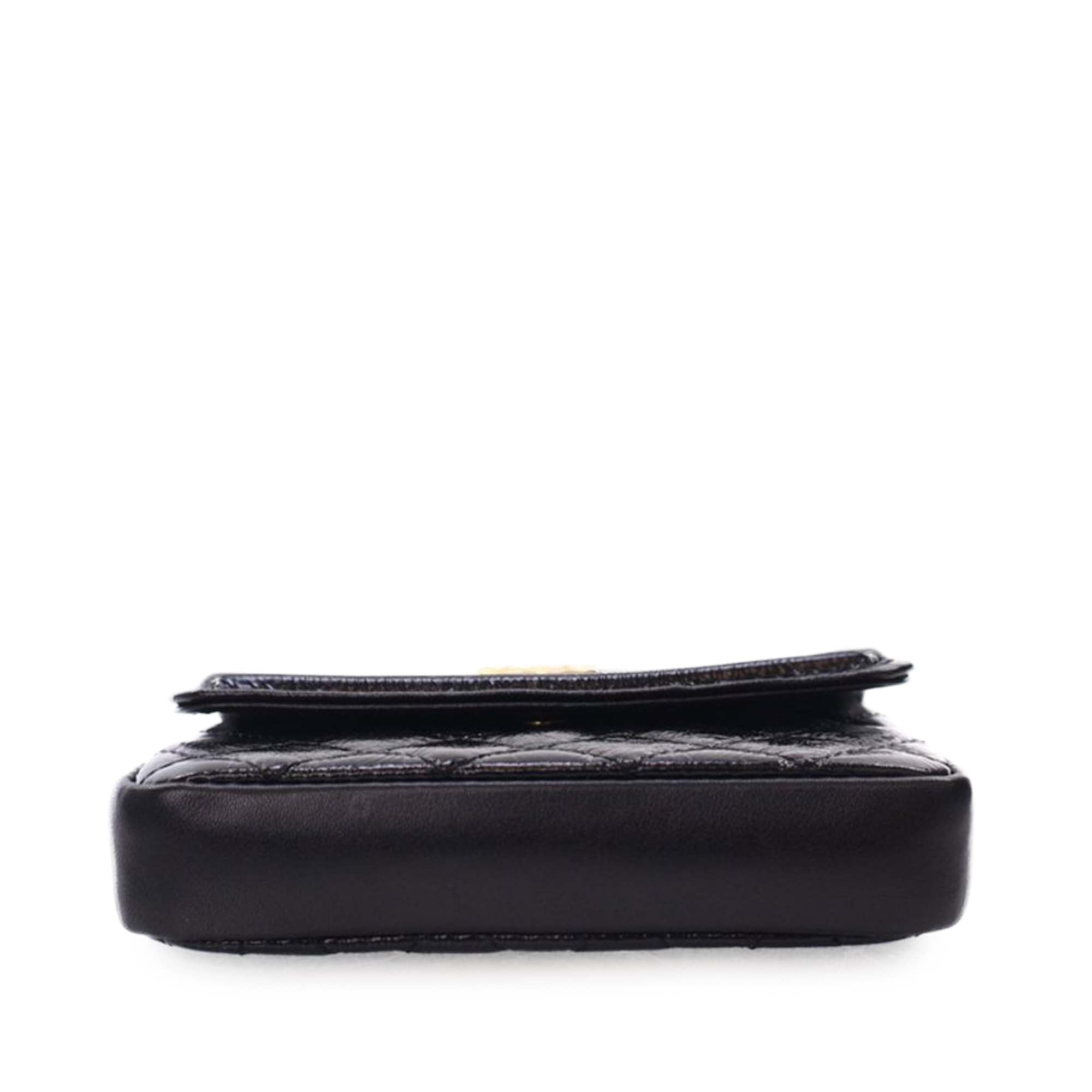 Chanel Quilted Shiny Aged Calfskin Waist Belt Bag - image 5