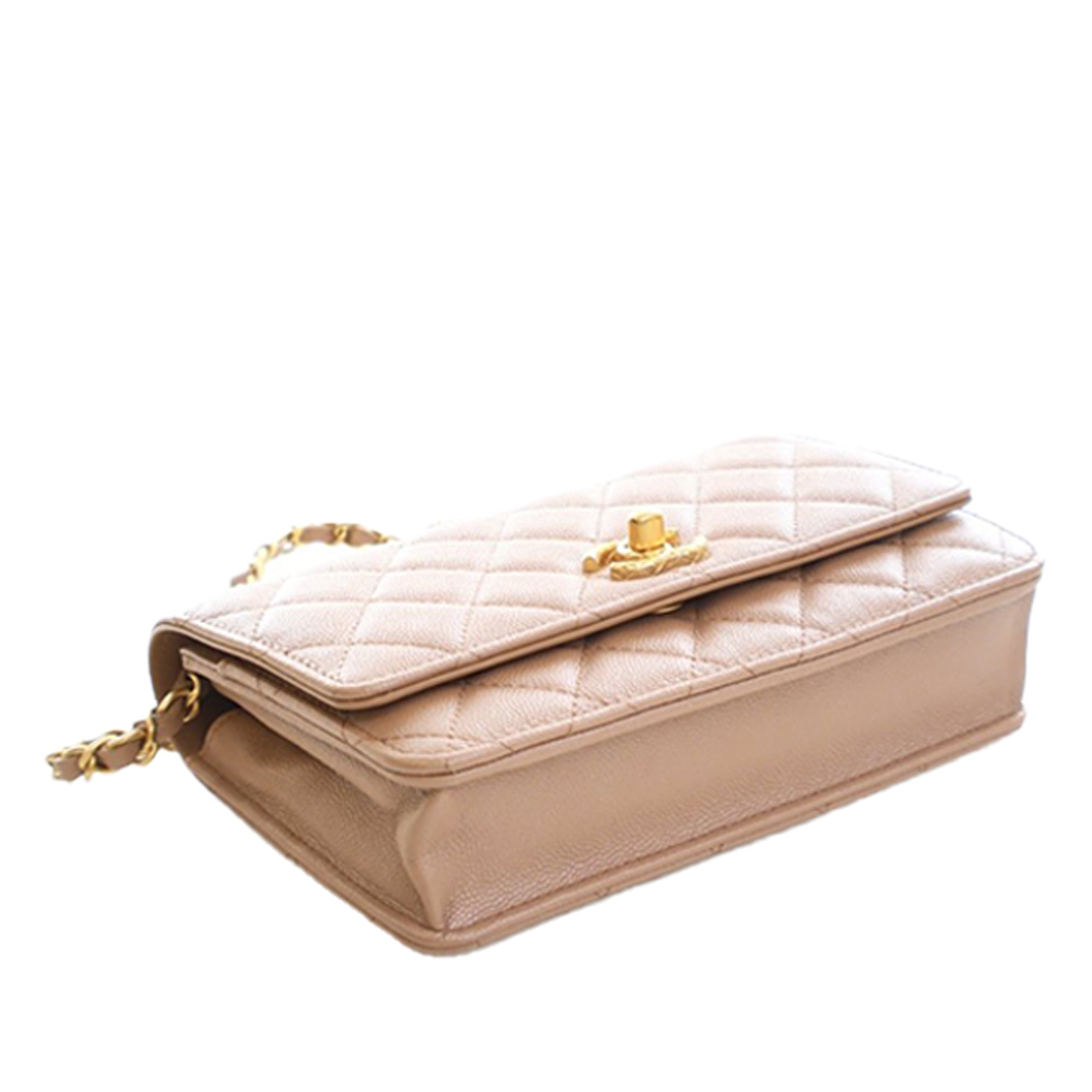 Chanel CC Quilted Caviar Wallet on Chain - image 10