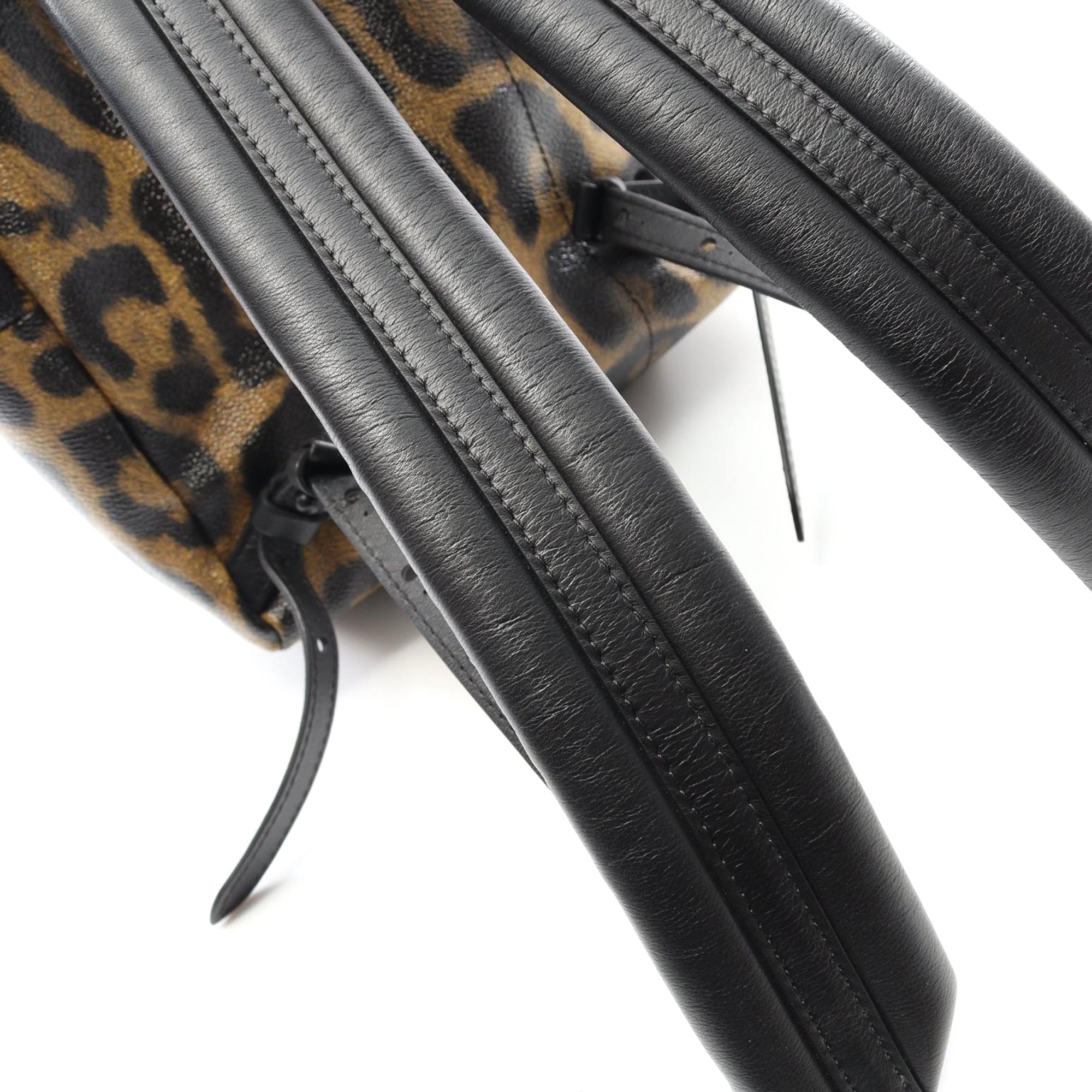 Louis Vuitton Wild Animal Palm Springs PM - image 8