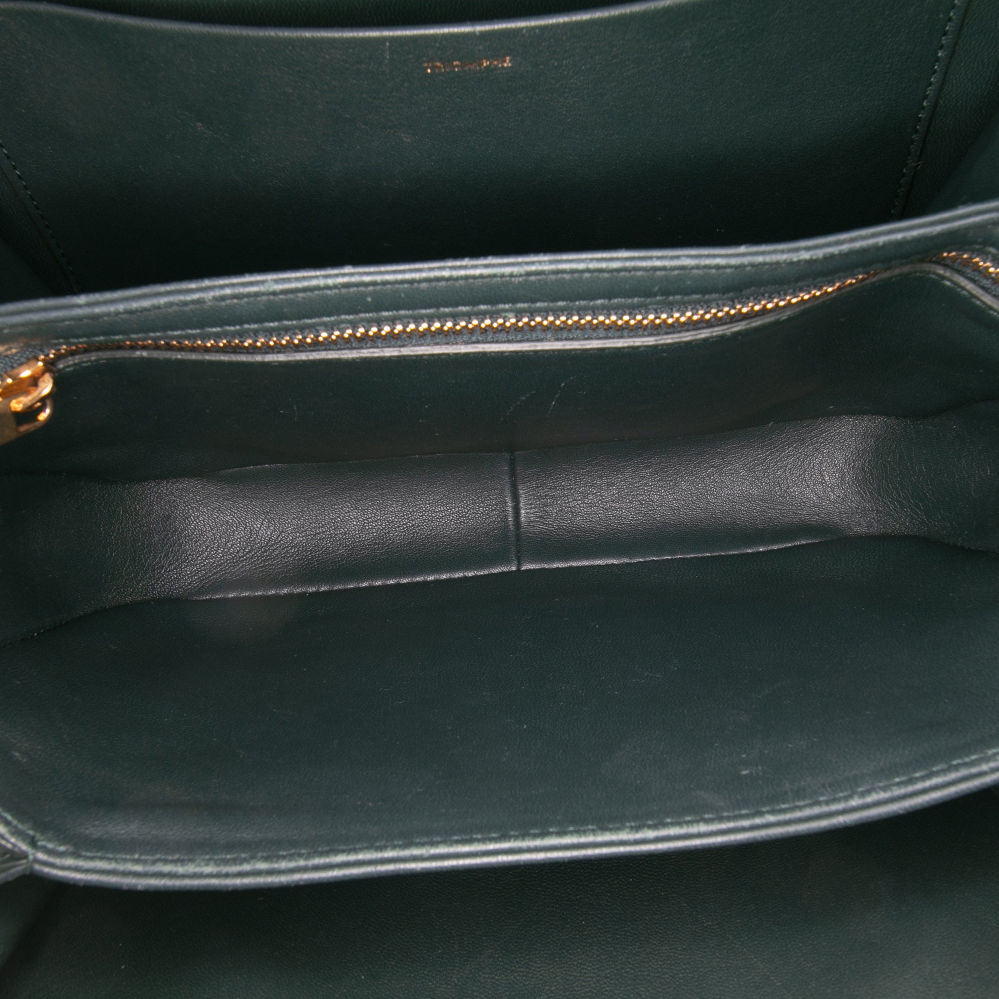 Celine Classique Shiny Calfskin Triomphe Crossbody - image 4