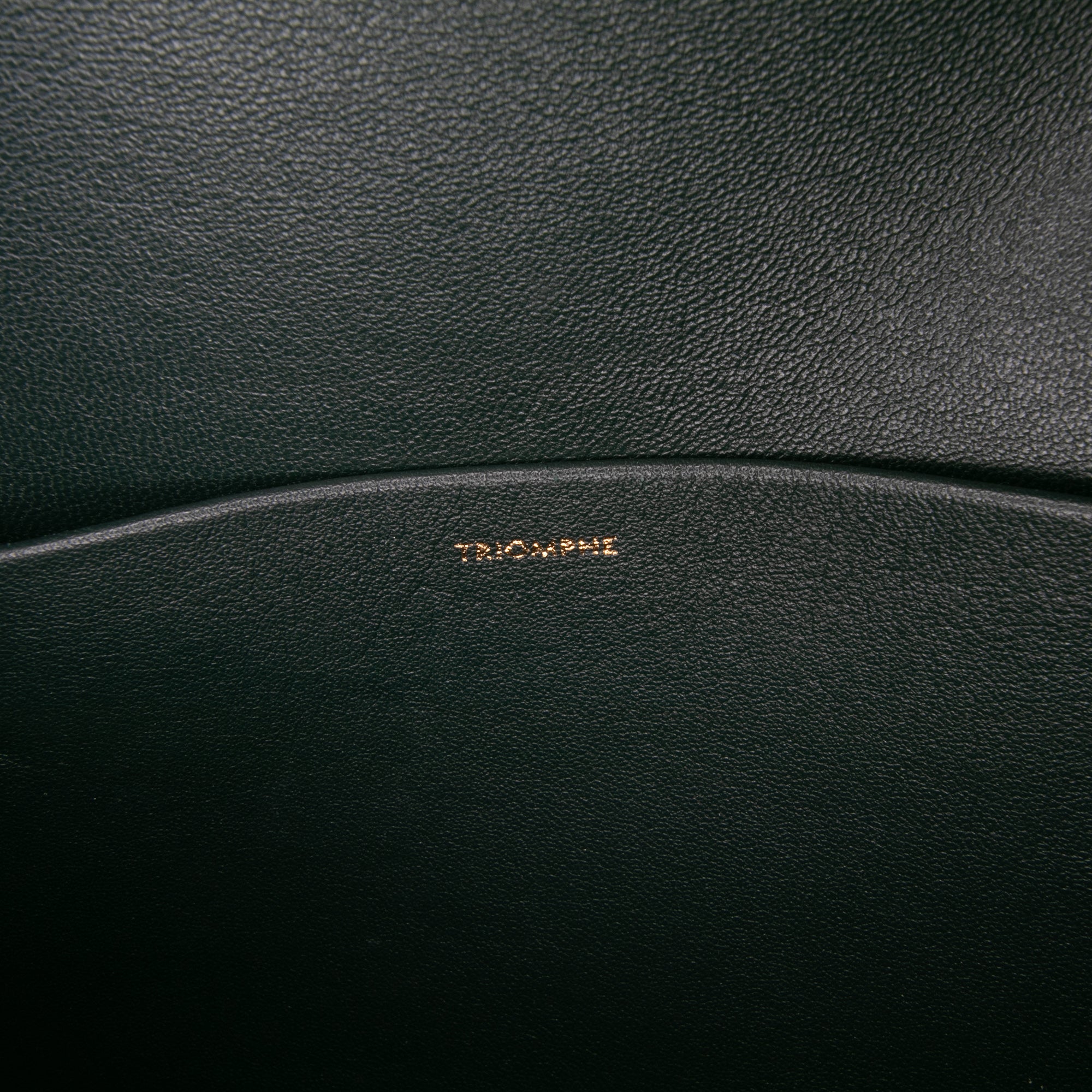 Celine Classique Shiny Calfskin Triomphe Crossbody - image 6