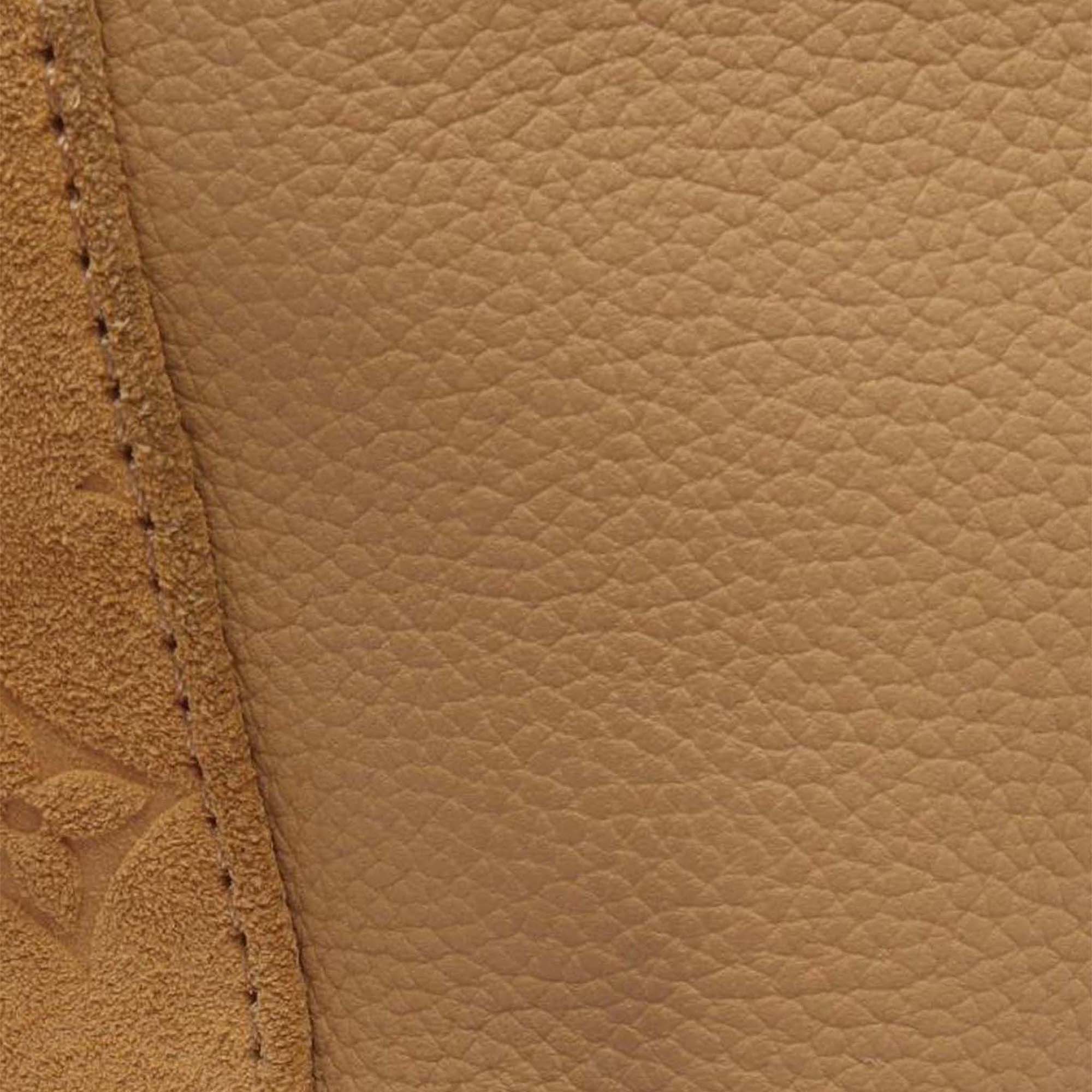 Louis Vuitton Grained Calfskin and Monogram Hobo Cargo - image 5