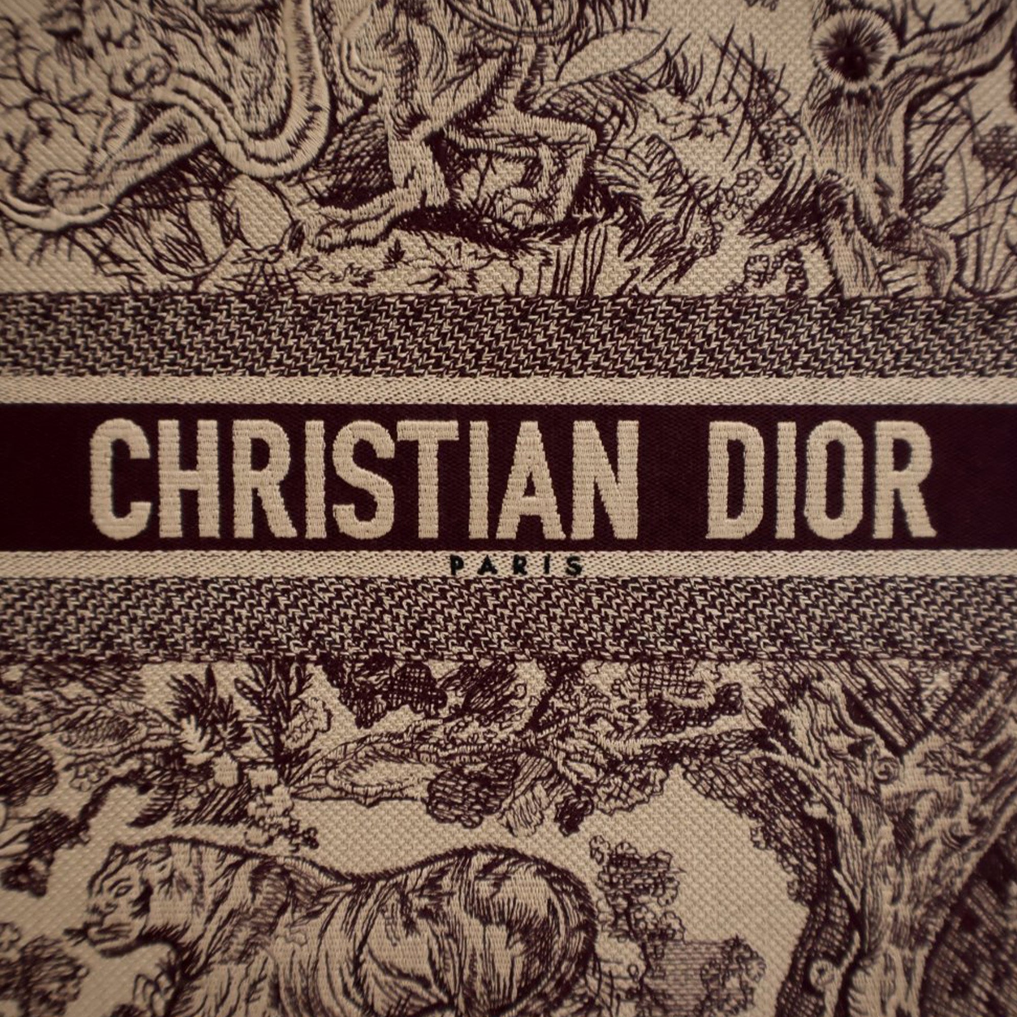 Dior Large Canvas Embroidered Dioriviera Toile De Jouy Book Tote - image 5