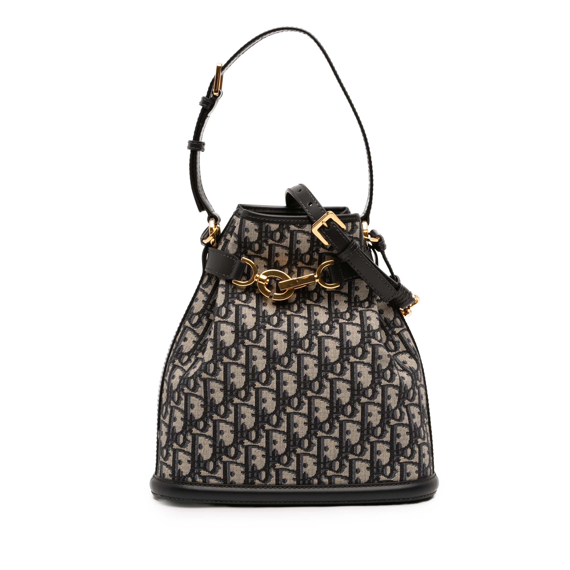 Dior Medium Oblique Canvas CEst Dior Bucket Bag - image 1